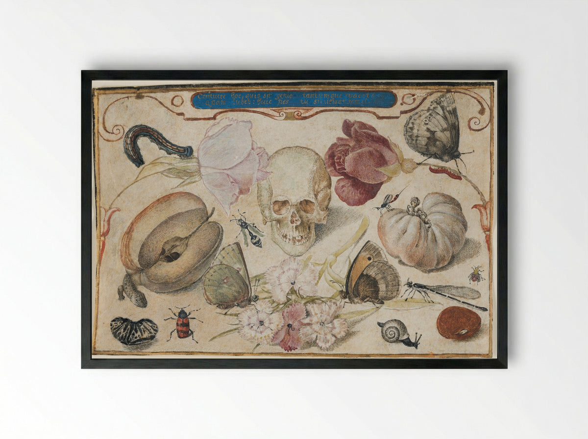 Vanitas - Joris Hoefnagel - Framed Print Black