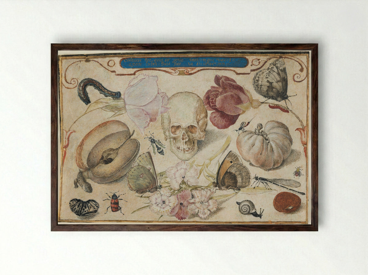 Vanitas - Joris Hoefnagel - Framed Print Dark Wood
