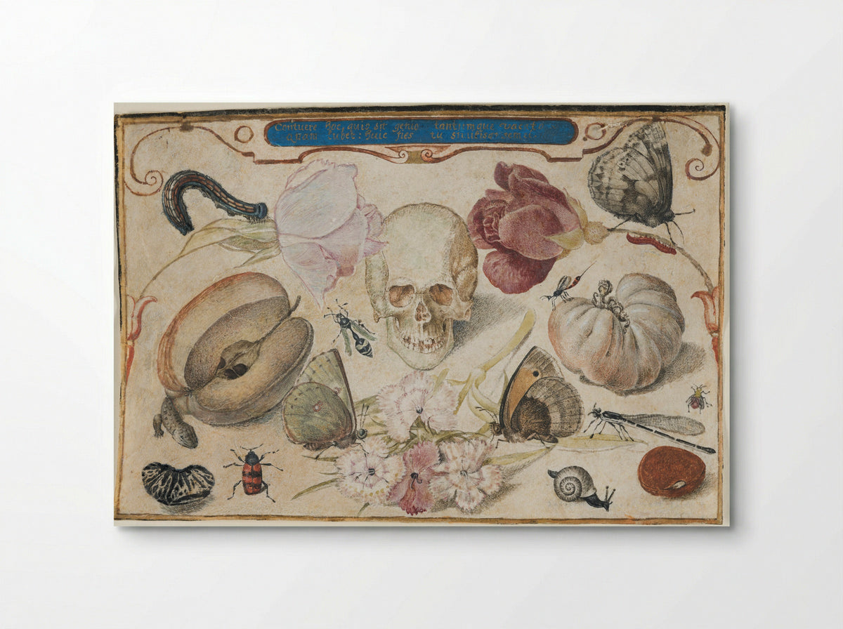 Vanitas - Joris Hoefnagel - Poster