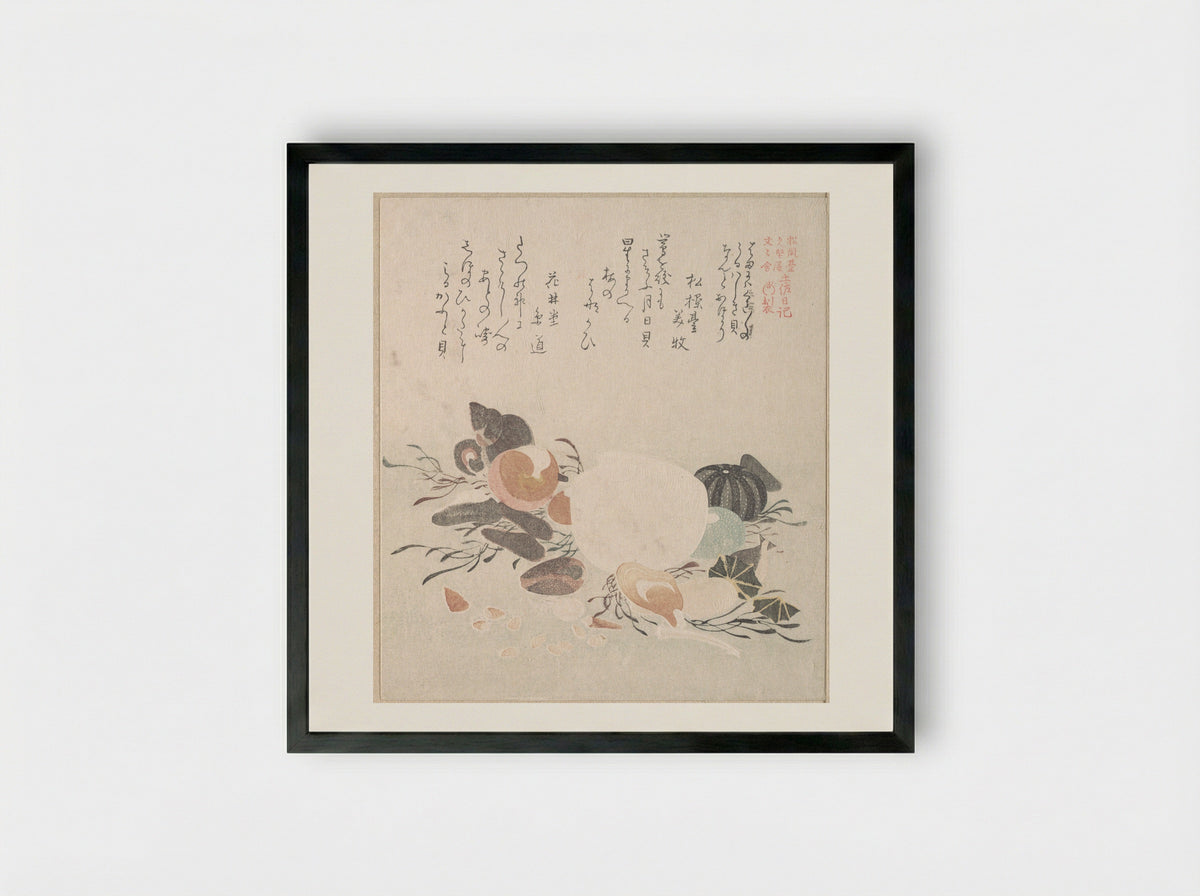 Various Shells with Sea Weeds - Kubo Shunman - Framed Print Black