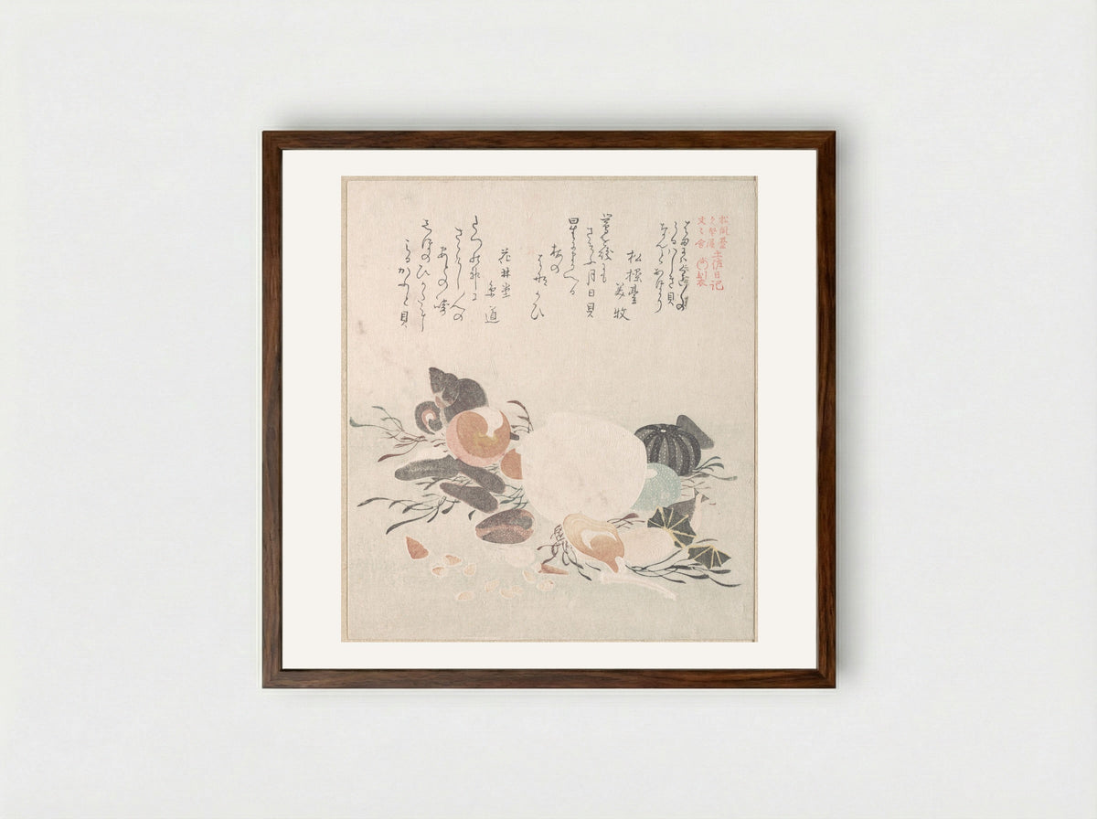 Various Shells with Sea Weeds - Kubo Shunman - Framed Print Dark Wood