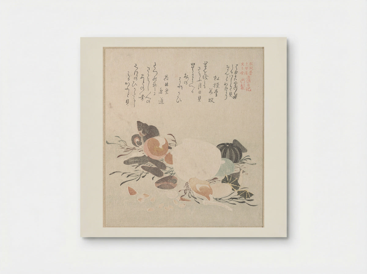 Various Shells with Sea Weeds - Kubo Shunman - Poster