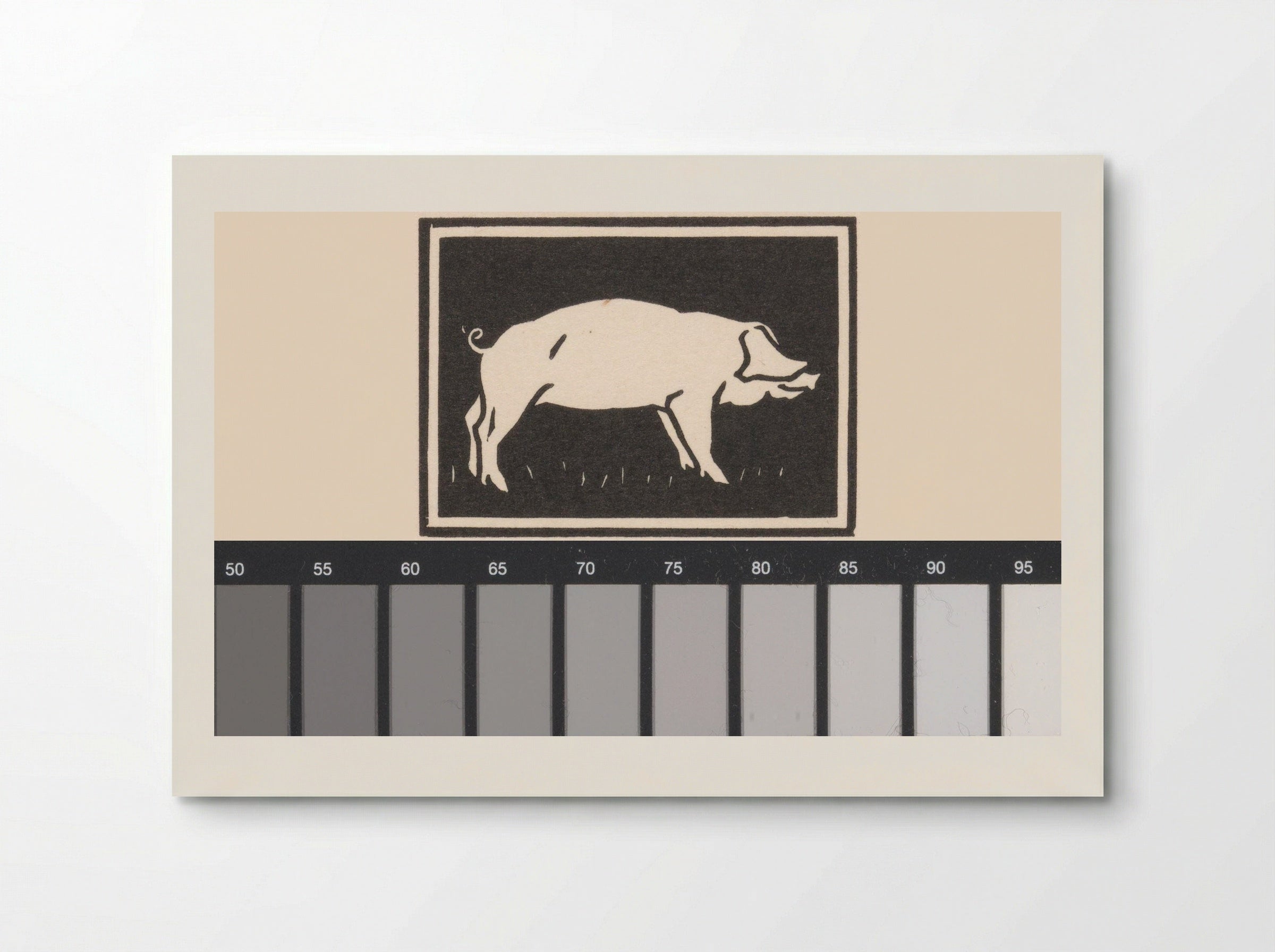Varken (Pig) - Julie de Graag - Poster