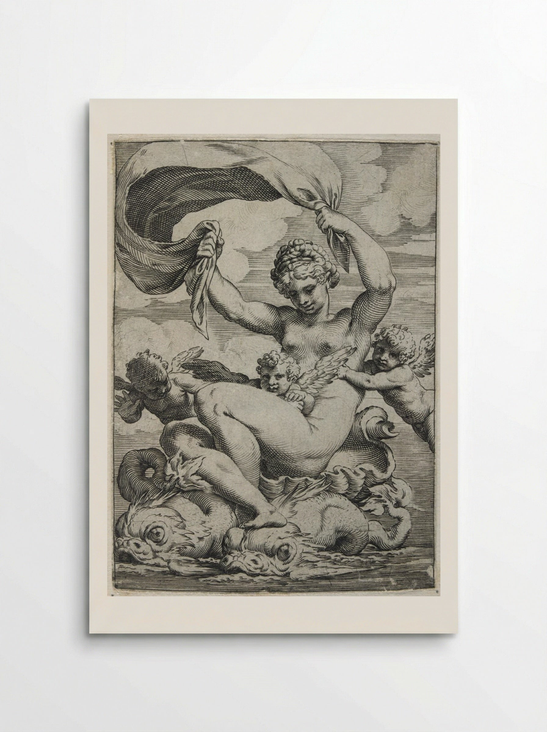 Venus Supported by Dolphins - Agostino Carracci - Poster
