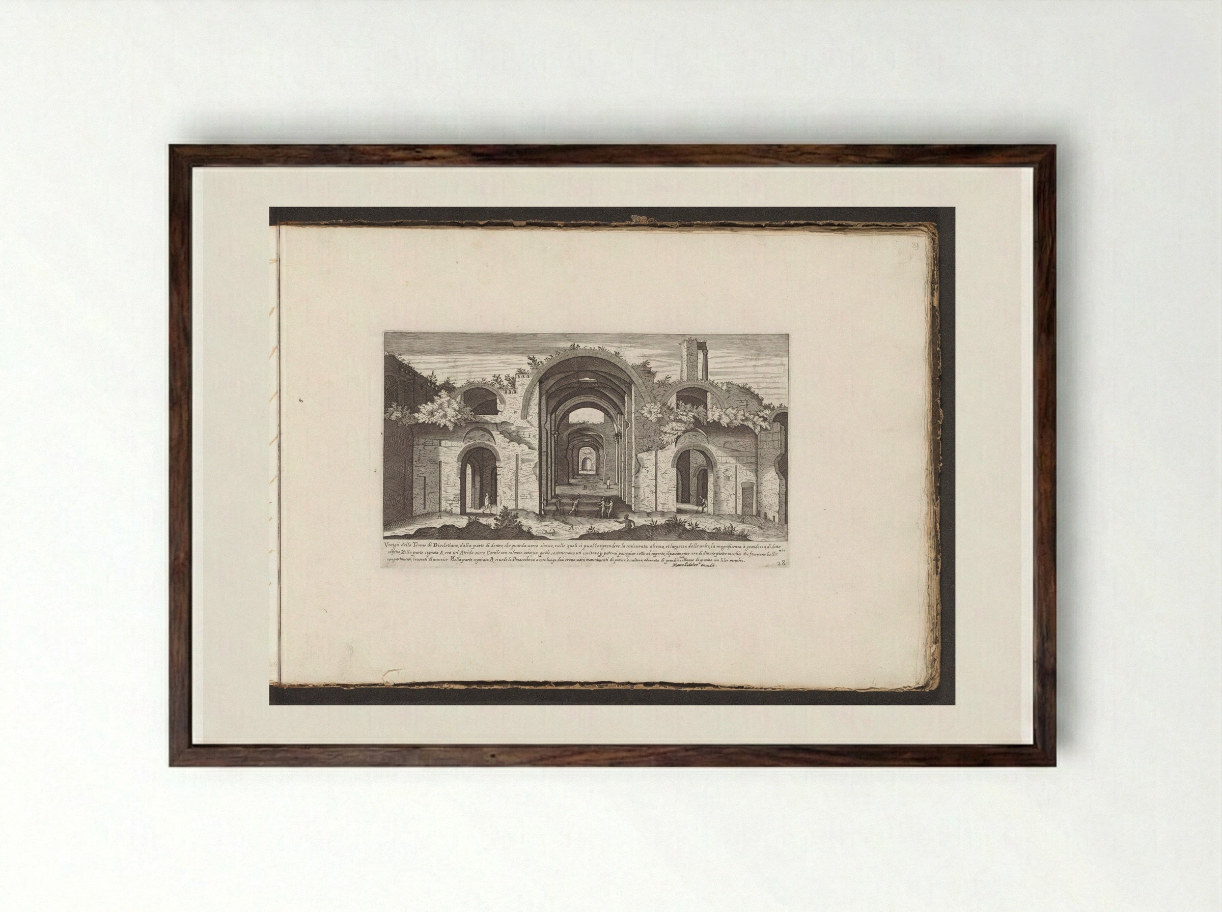 Vestigio delle Terme di Diocletiano - Giovanni Giacomo de' Rossi - Framed Print Dark Wood