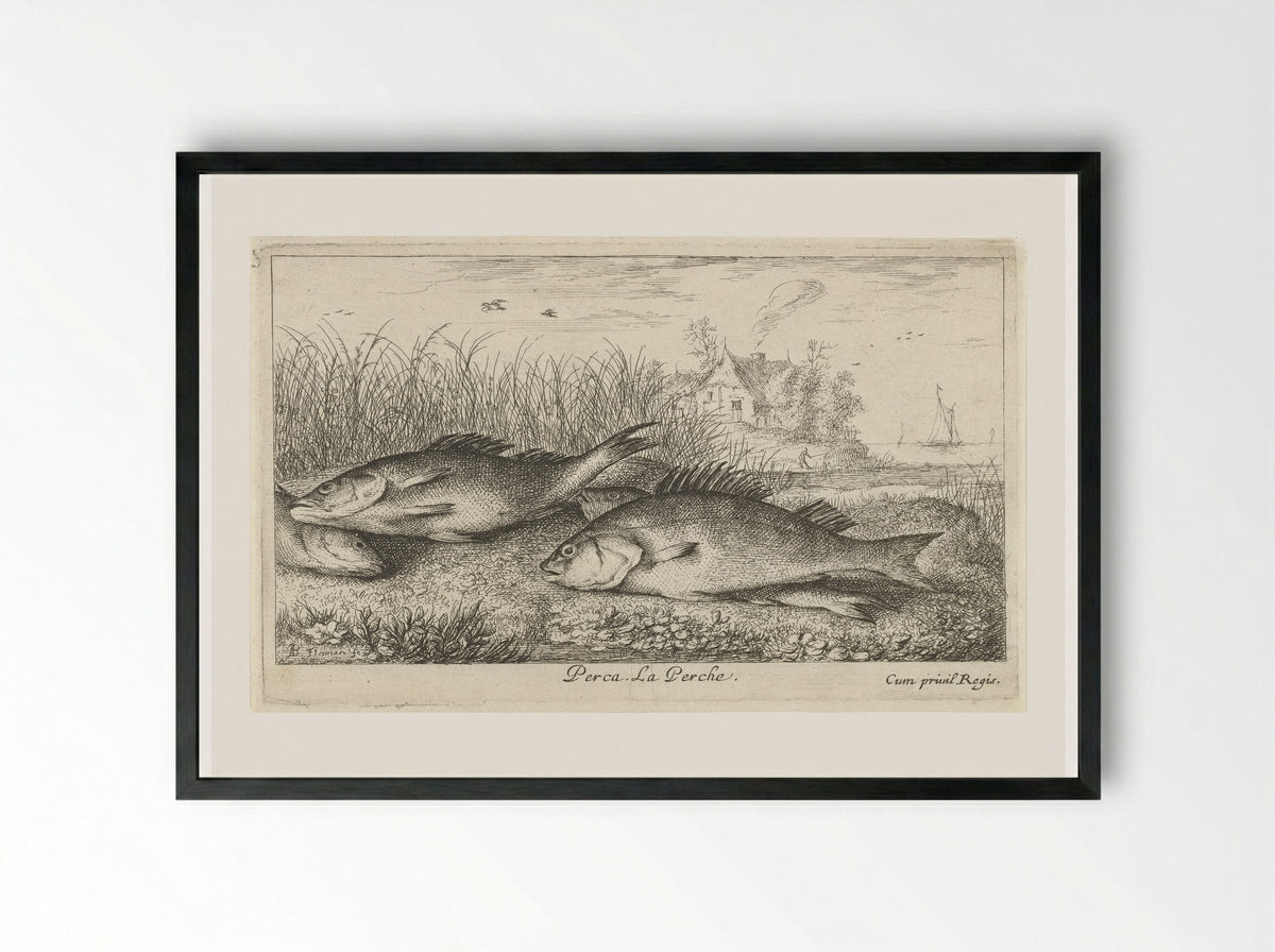Vier baarzen op een rivieroever - Jacques van Merlen - Framed Print Black