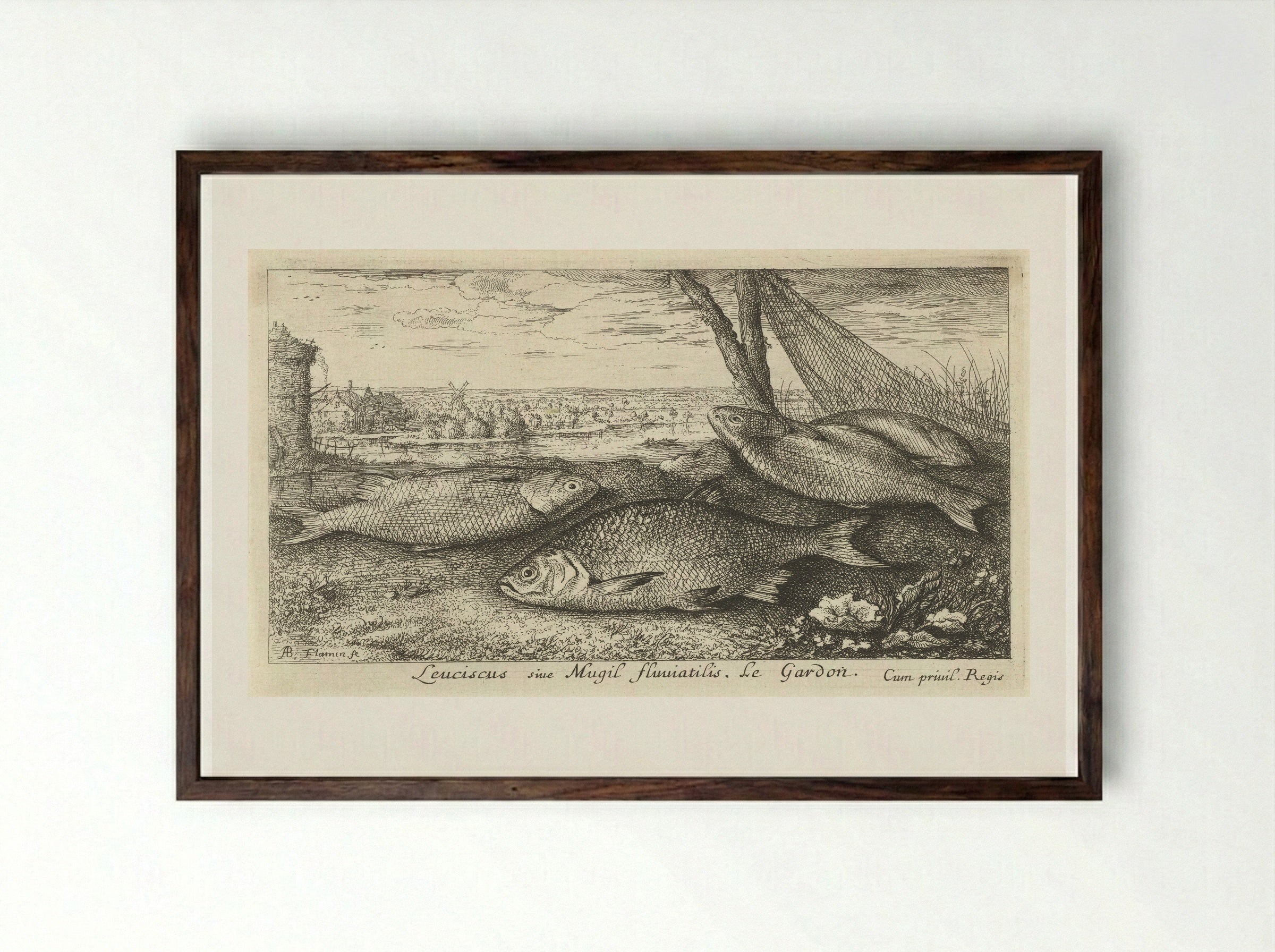 Vier blankvoornen bij een visnet - Albert Flamen - Framed Print Dark Wood