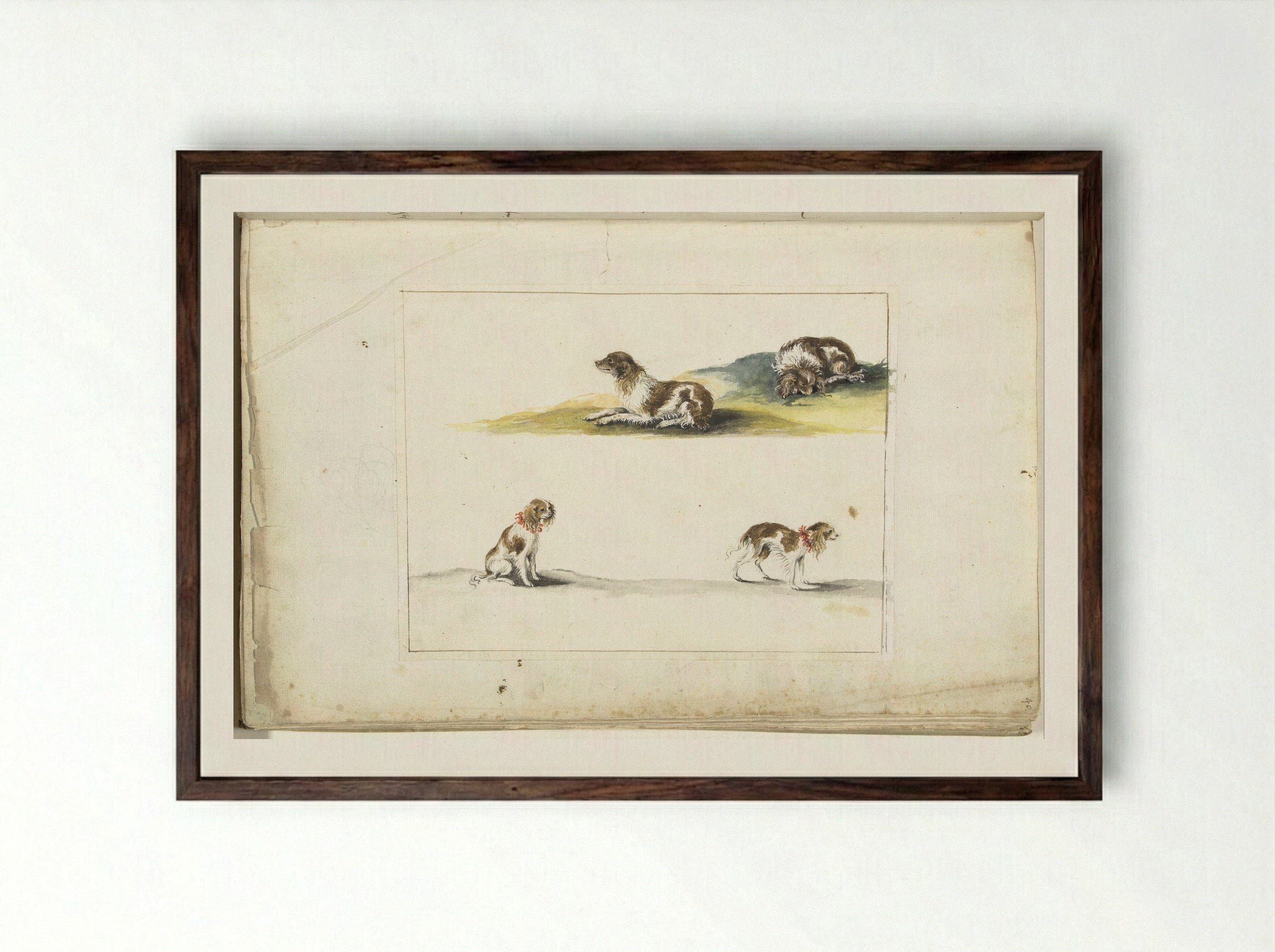 Vier studies van honden - Gesina ter Borch - Framed Print Dark Wood