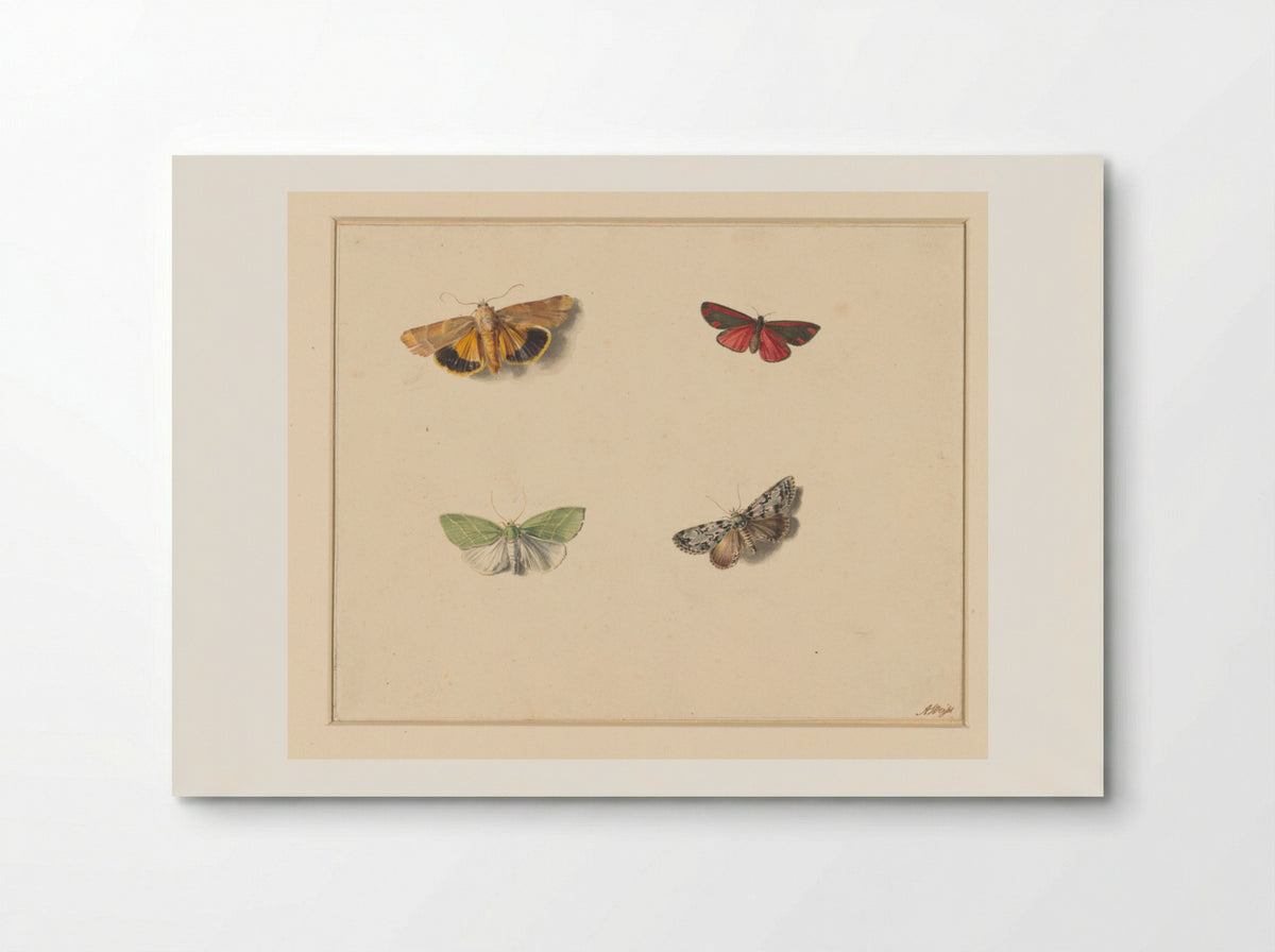 Vier vlinders (Four Butterflies) - Anton Weiss - Poster