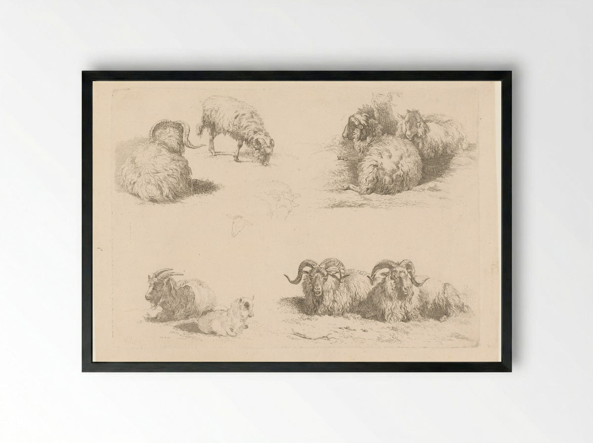 Vier voorstellingen met schapen en geiten - Pieter Gerardus van Os - Framed Print Black
