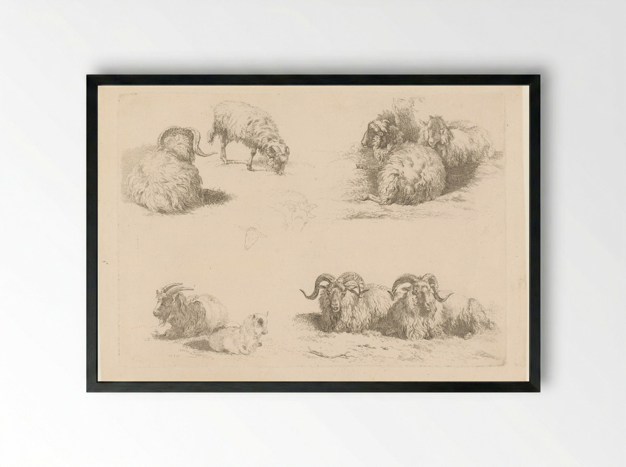 Vier voorstellingen met schapen en geiten - Pieter Gerardus van Os - Framed Print Black