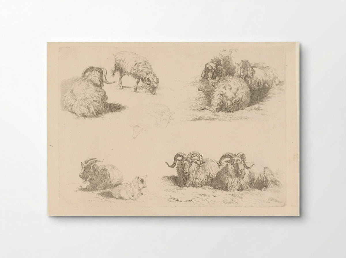 Vier voorstellingen met schapen en geiten - Pieter Gerardus van Os - Poster