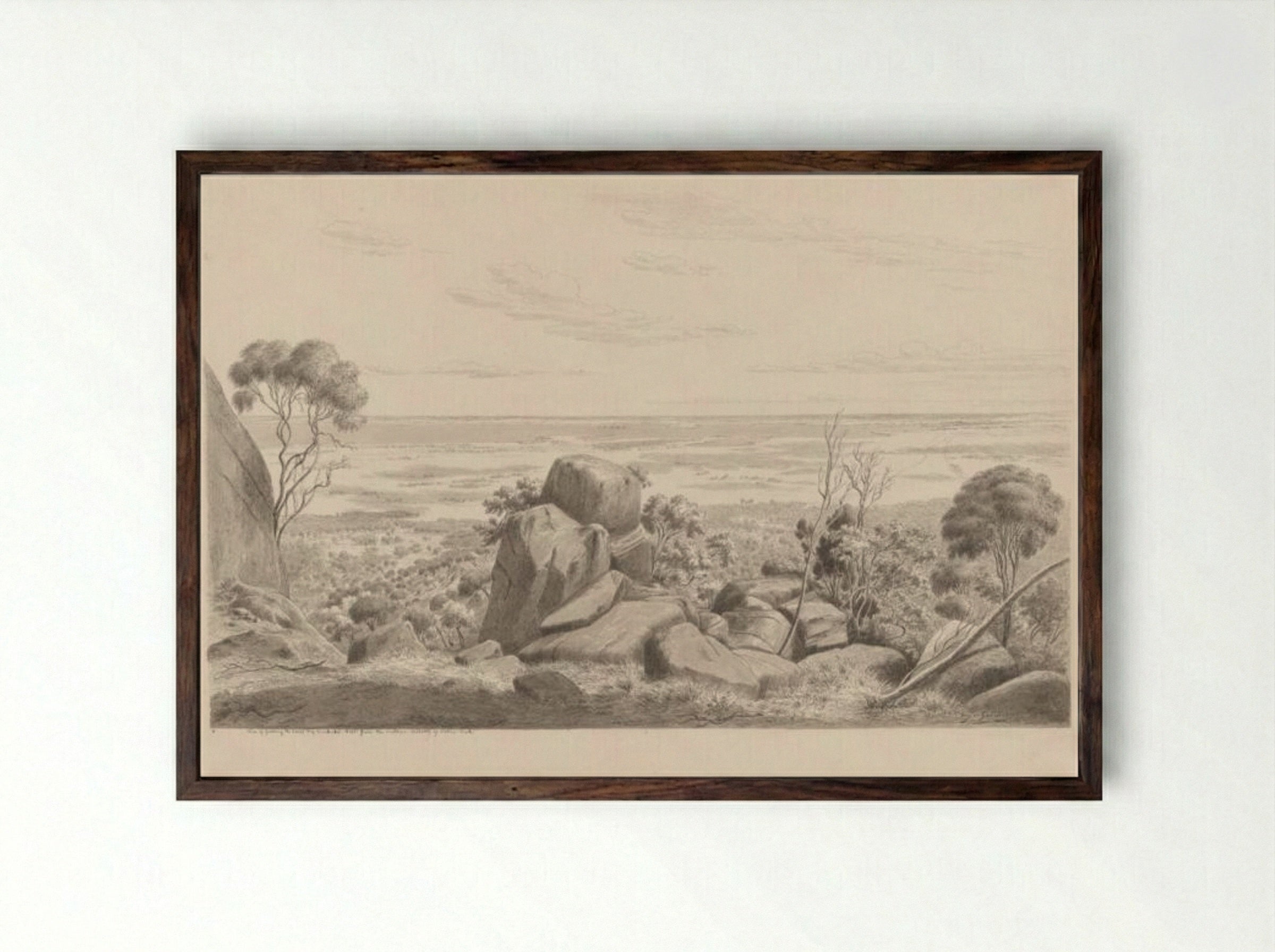 View of Geelong, the Corio Bay and Indented Heads from the southern declivity of Station Peak - Eugene von Guerard - Framed Print Dark Wood