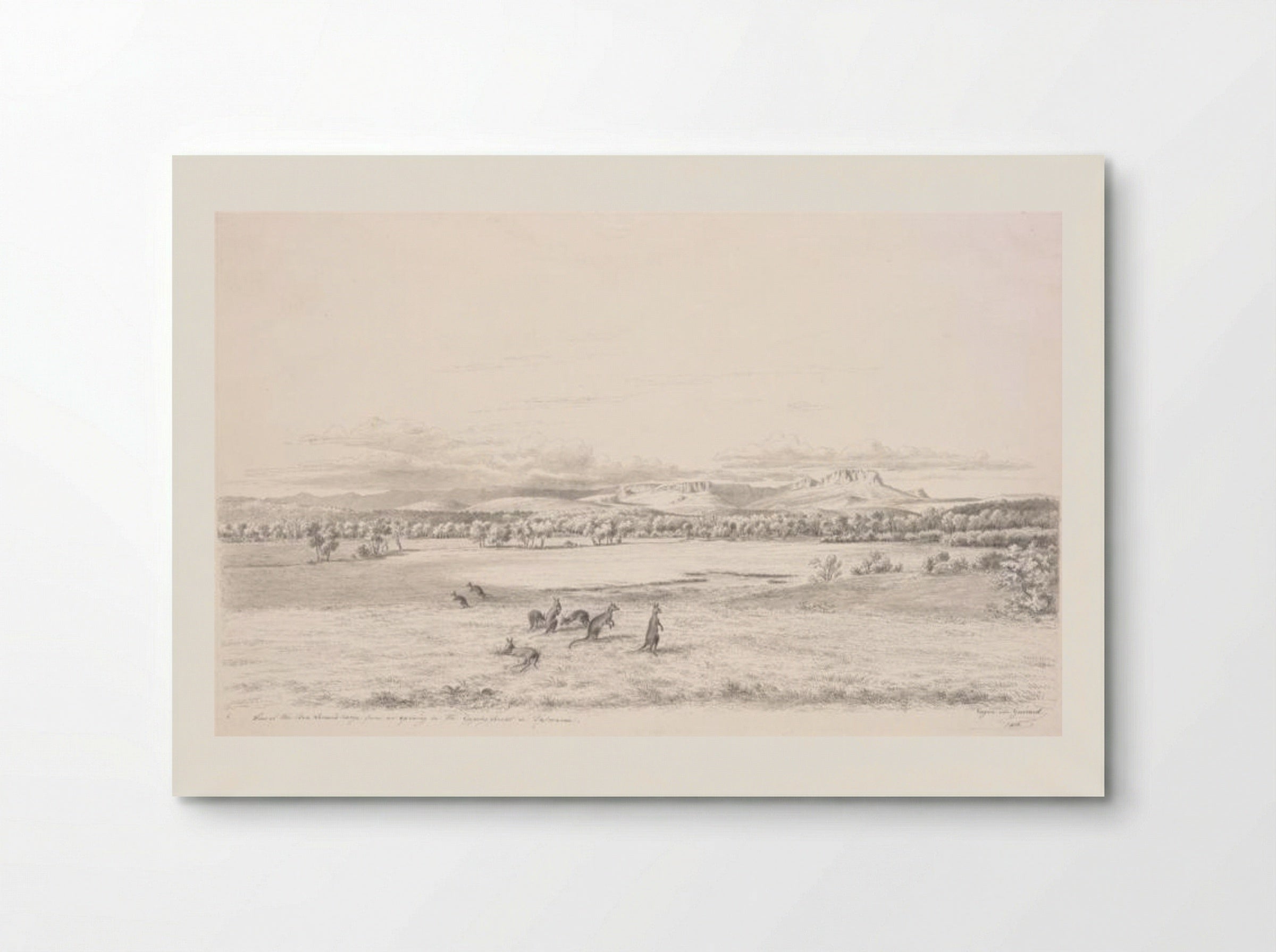 View of the Ben Lomond Range from an opening in the Epping Forest in Tasmania - Eugene von Guerard - Poster