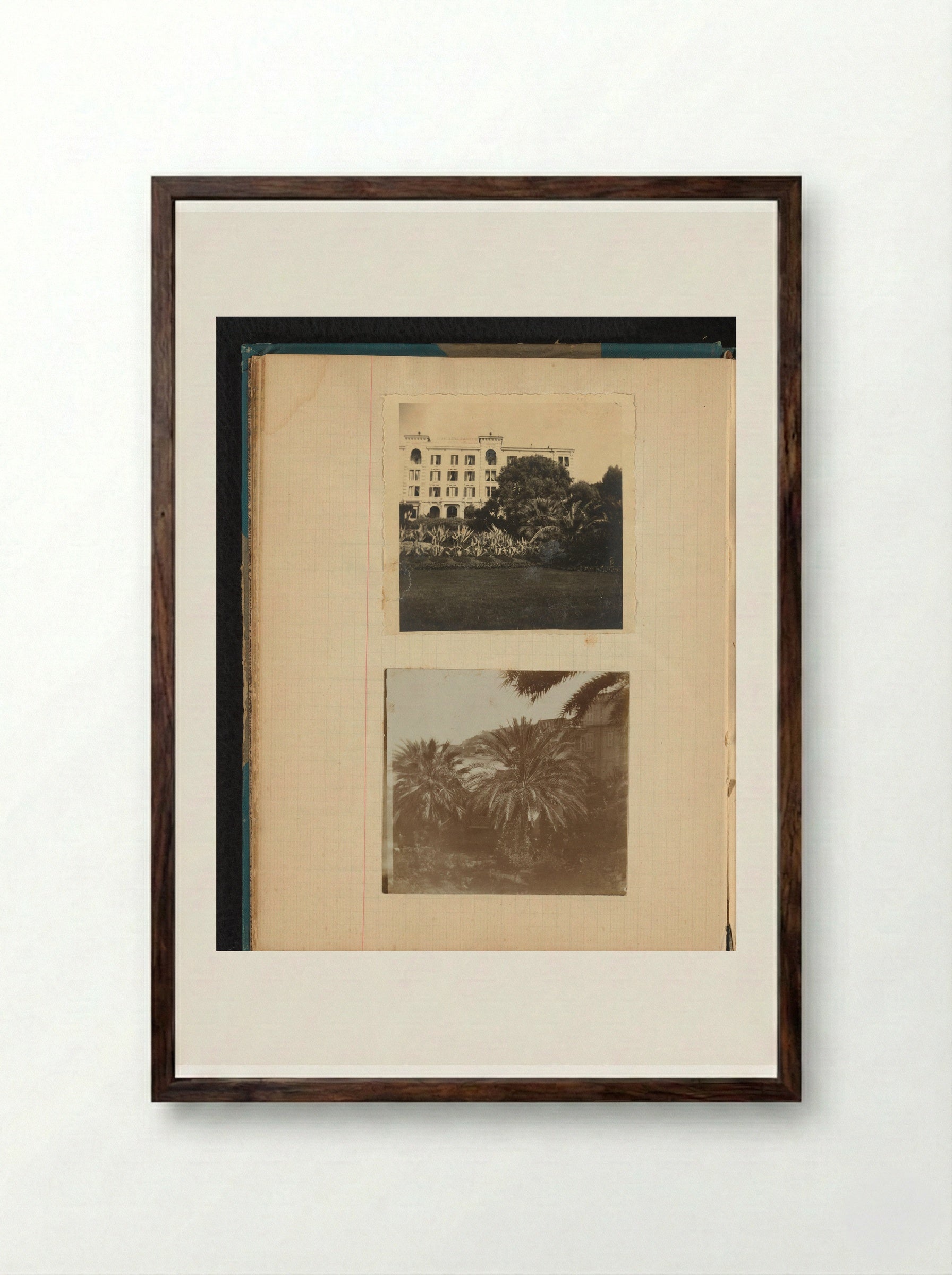 View with Palm Trees from the Former Hotel Schweizerhof in Ajaccio, Corsica - Théodore van Lelyveld - Framed Print Dark Wood