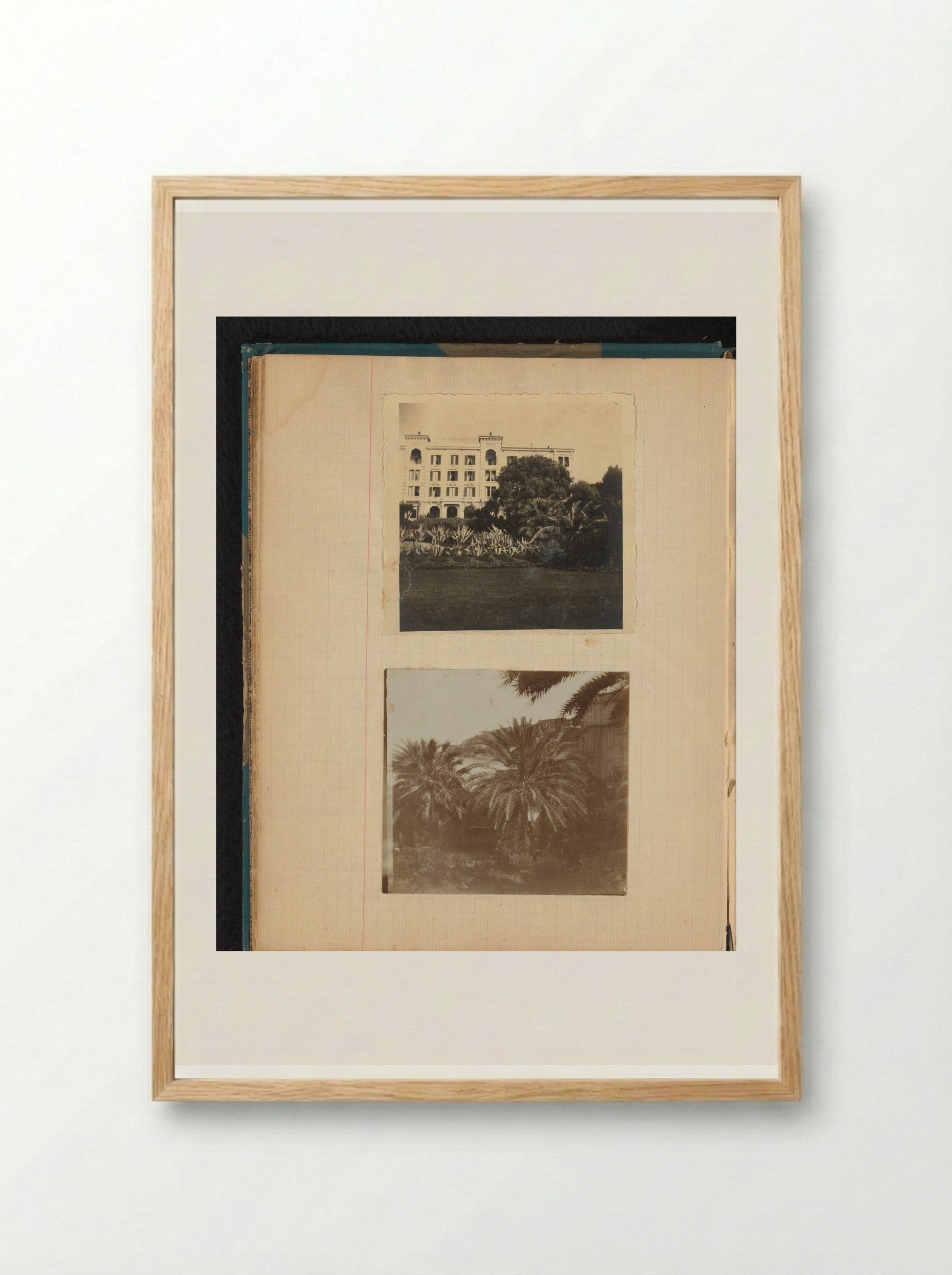 View with Palm Trees from the Former Hotel Schweizerhof in Ajaccio, Corsica - Théodore van Lelyveld - Framed Print Wood