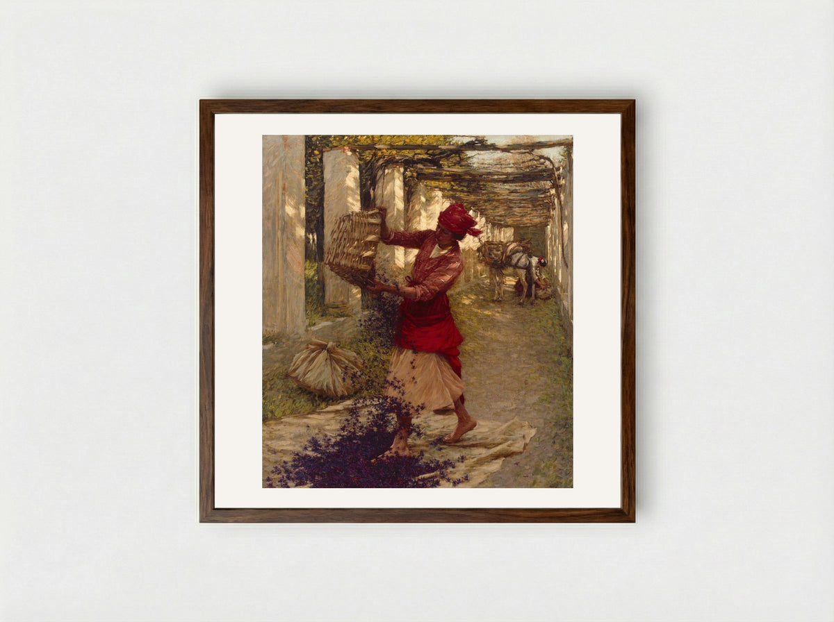 Violets for Perfume - Henry Herbert La Thangue - Framed Print Dark Wood