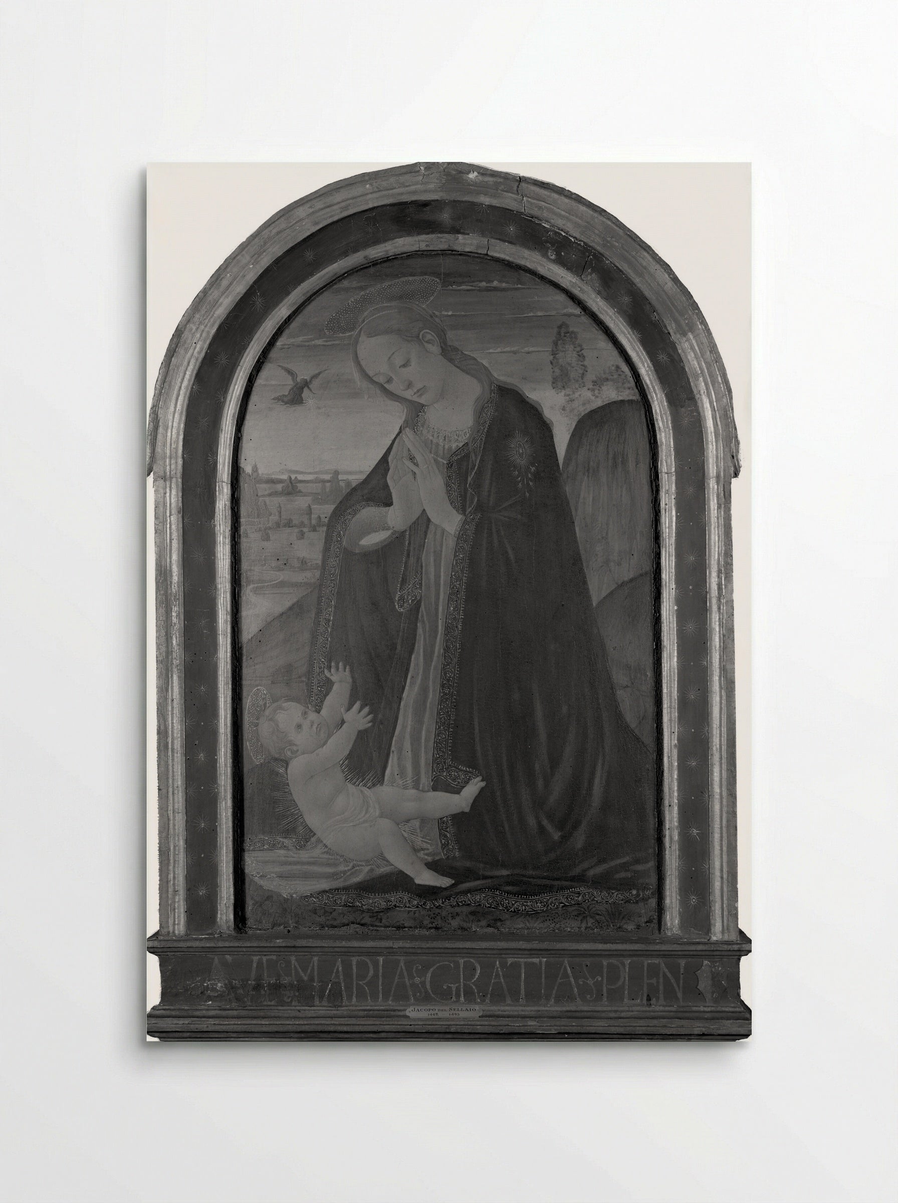 Virgin Adoring the Child - Jacopo del Sellaio - Poster