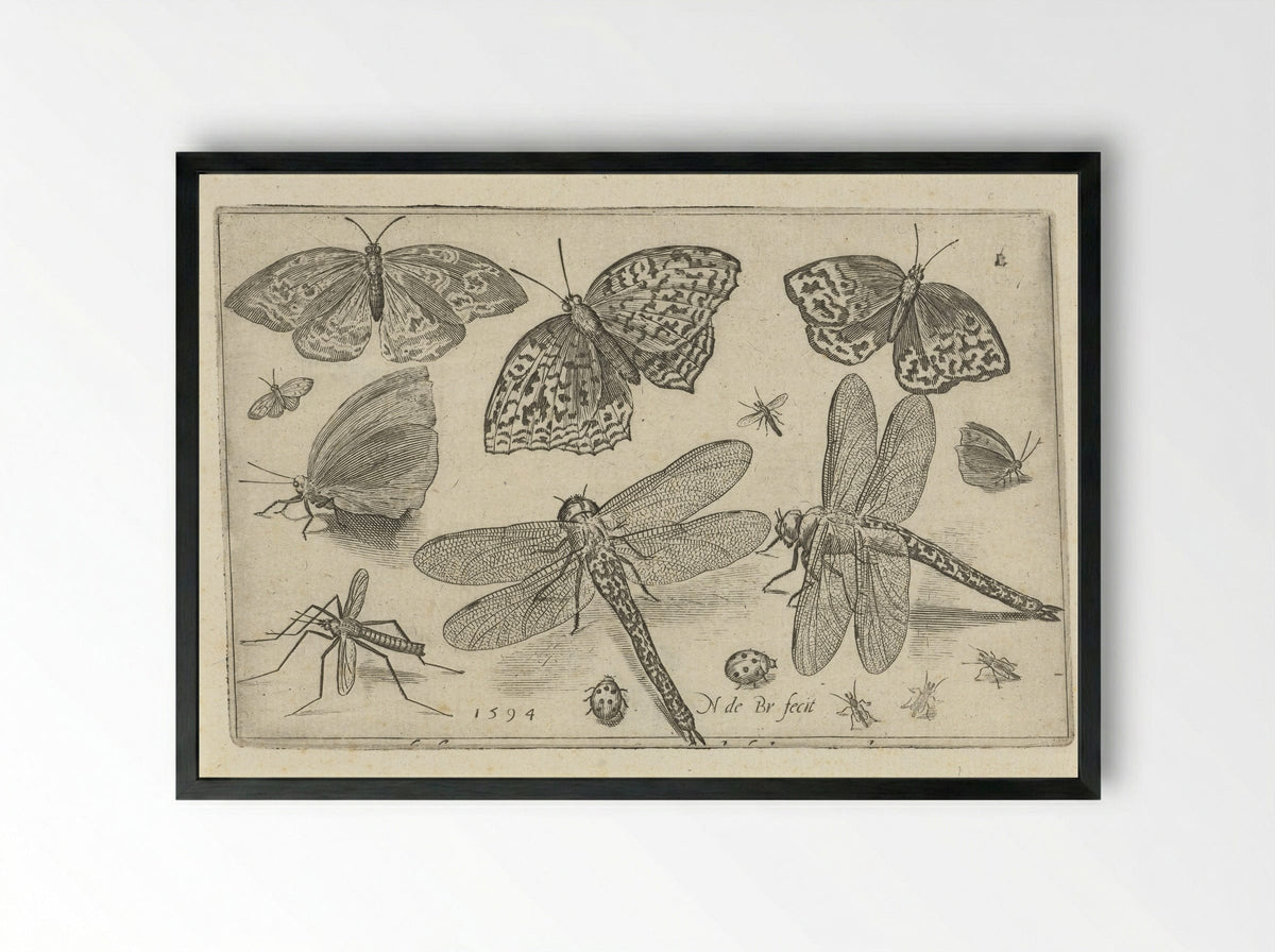 Vlinders en libellen - Francoys van Beusekom - Framed Print Black