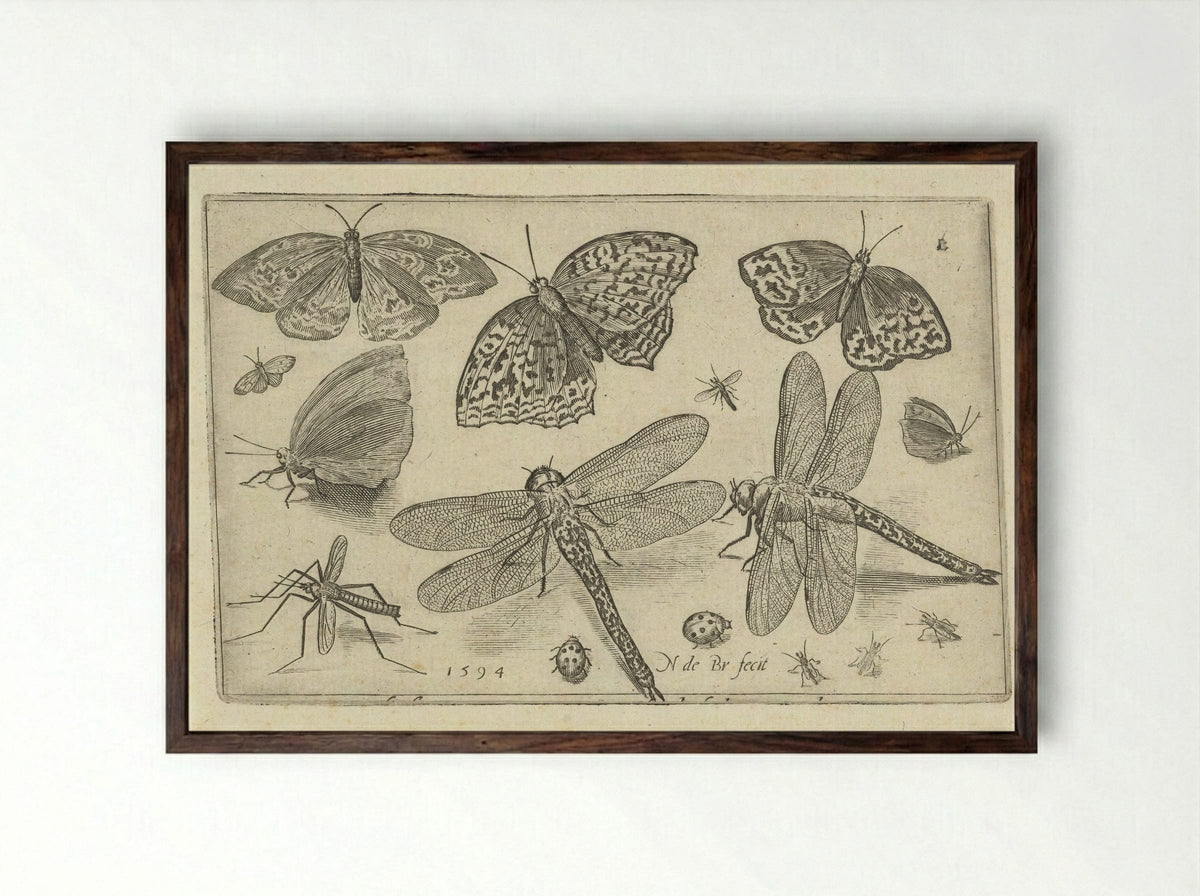 Vlinders en libellen - Francoys van Beusekom - Framed Print Dark Wood