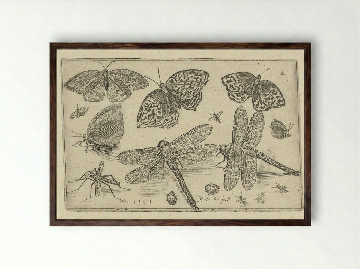 Vlinders en libellen - Francoys van Beusekom - Framed Print Dark Wood