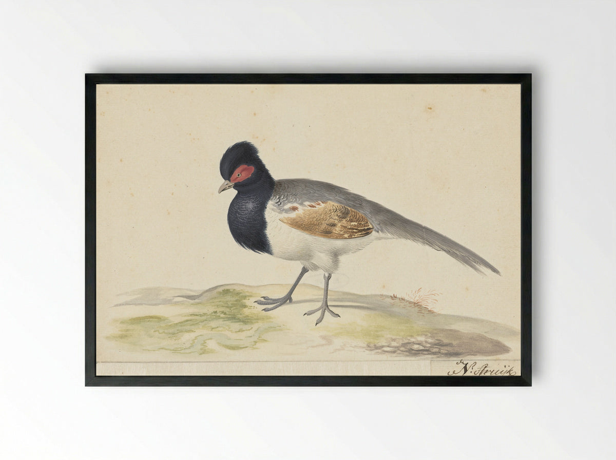 Vogel met grijze staartveren, zwarte kop met rode vlek, naar links - Nicolaas Struyk - Framed Print Black