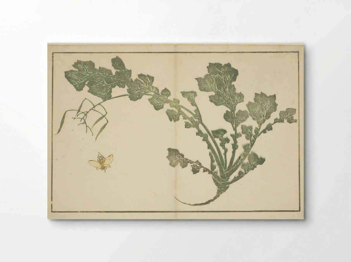 Wasp and turnip stalk - Katsushika Hokusai - Poster