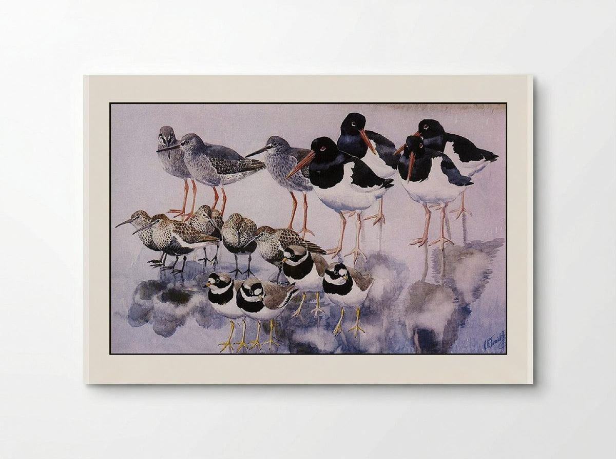 Water Reflections - Charles Tunnicliffe - Poster