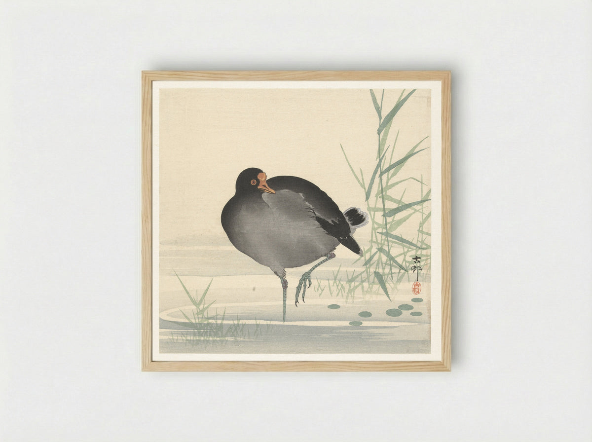 Waterhoen - Matsuki Heikichi - Framed Print Wood
