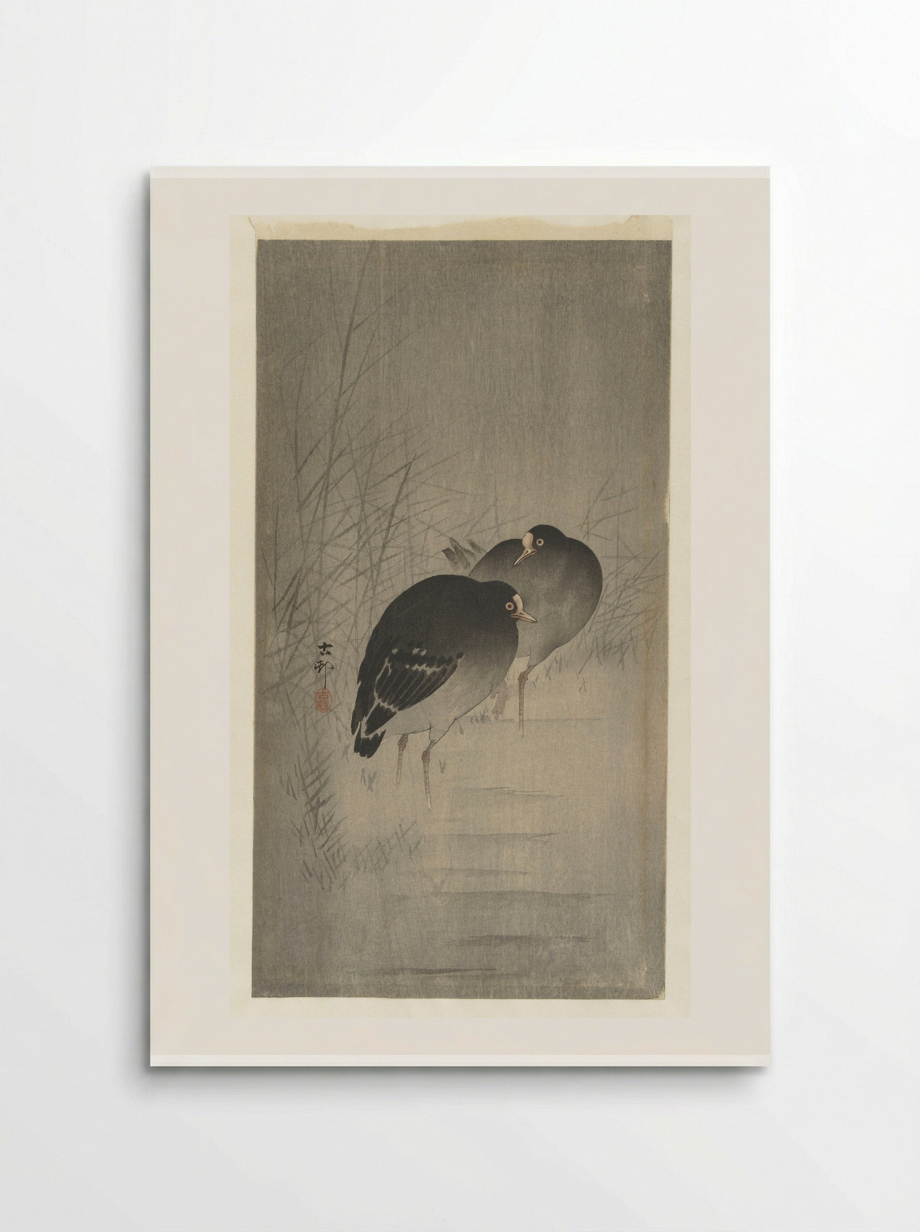 Waterhoentjes tussen riet (Moorhens among Reeds) - Matsuki Heikichi - Poster