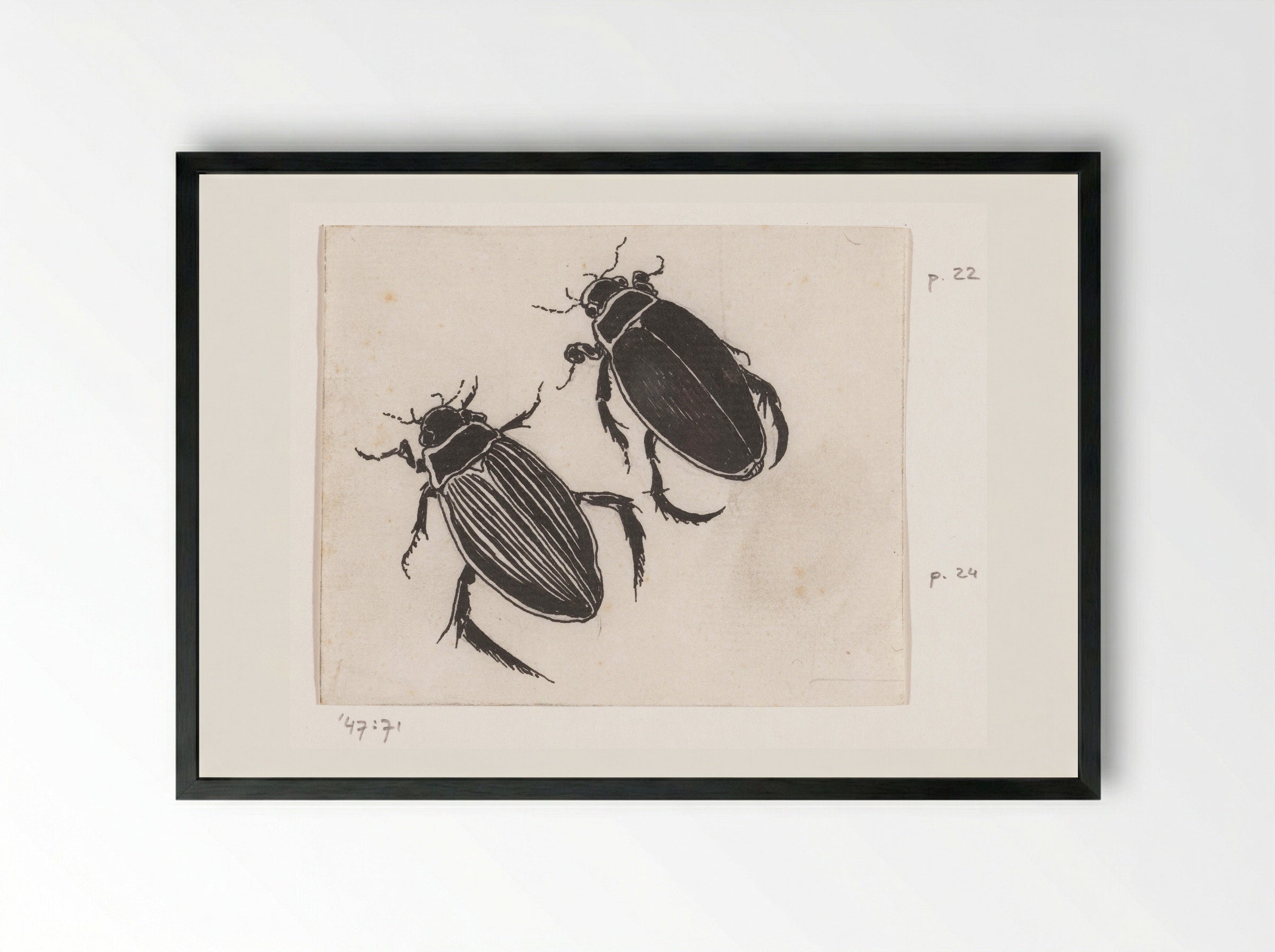 Waterroofkevers - Willem Wenckebach - Framed Print Black