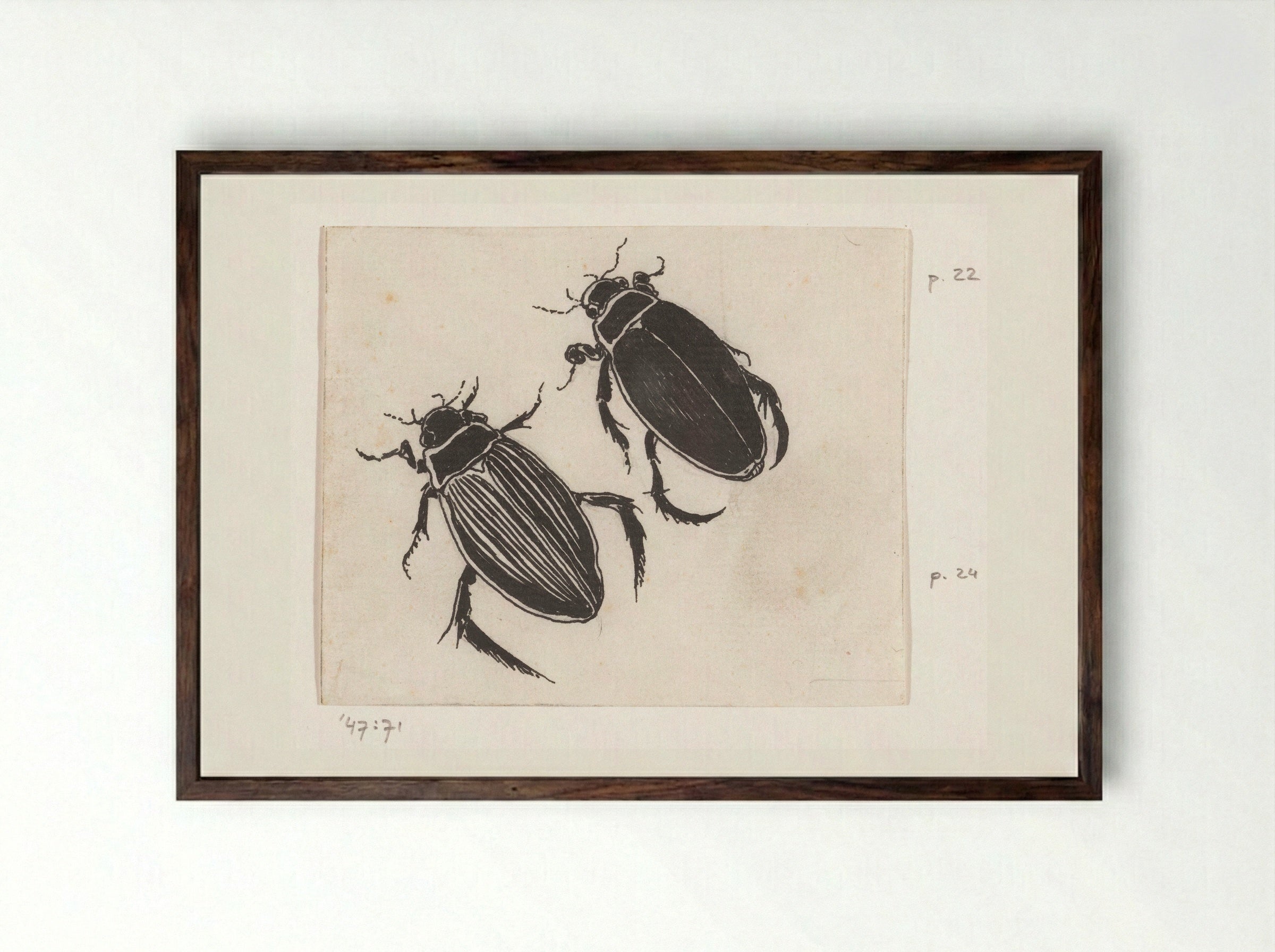 Waterroofkevers - Willem Wenckebach - Framed Print Dark Wood