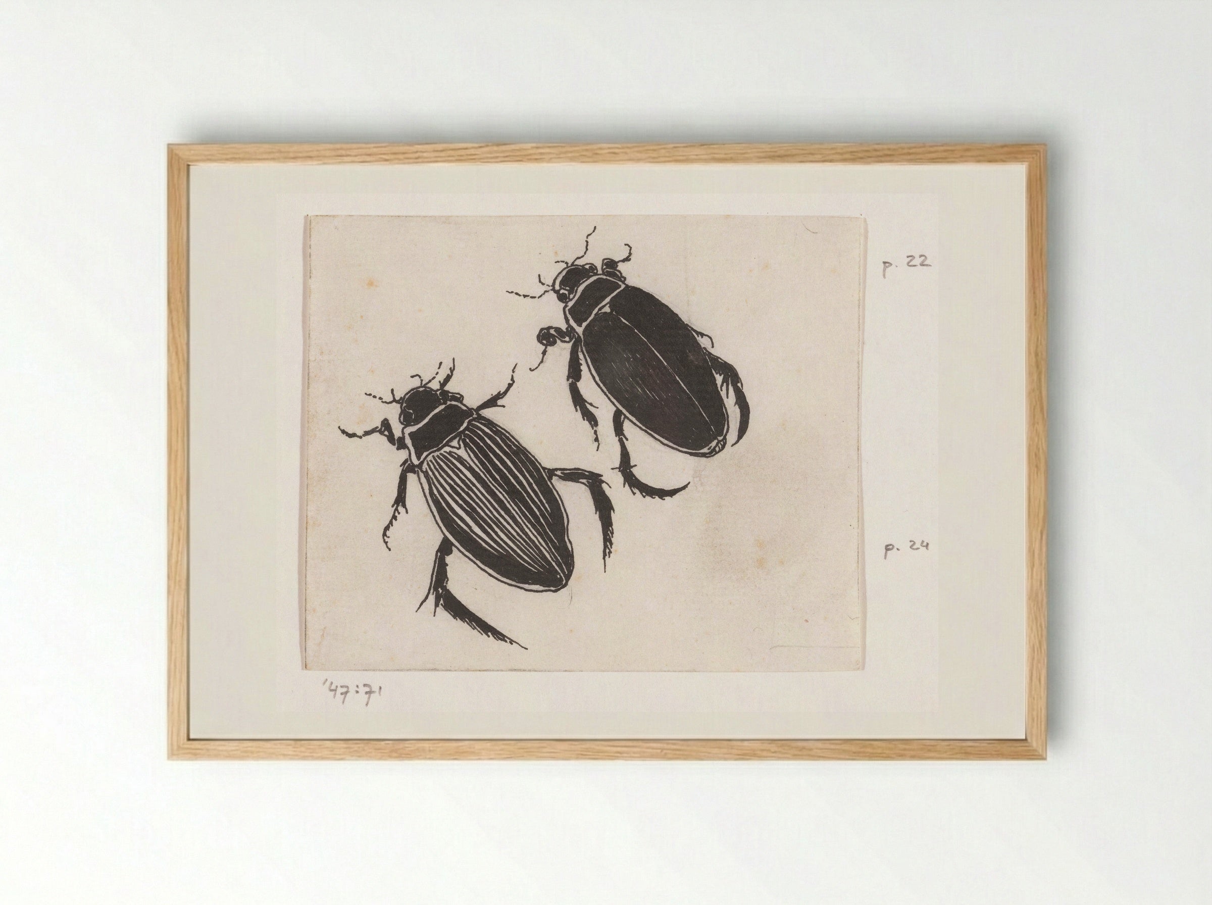 Waterroofkevers - Willem Wenckebach - Framed Print Wood