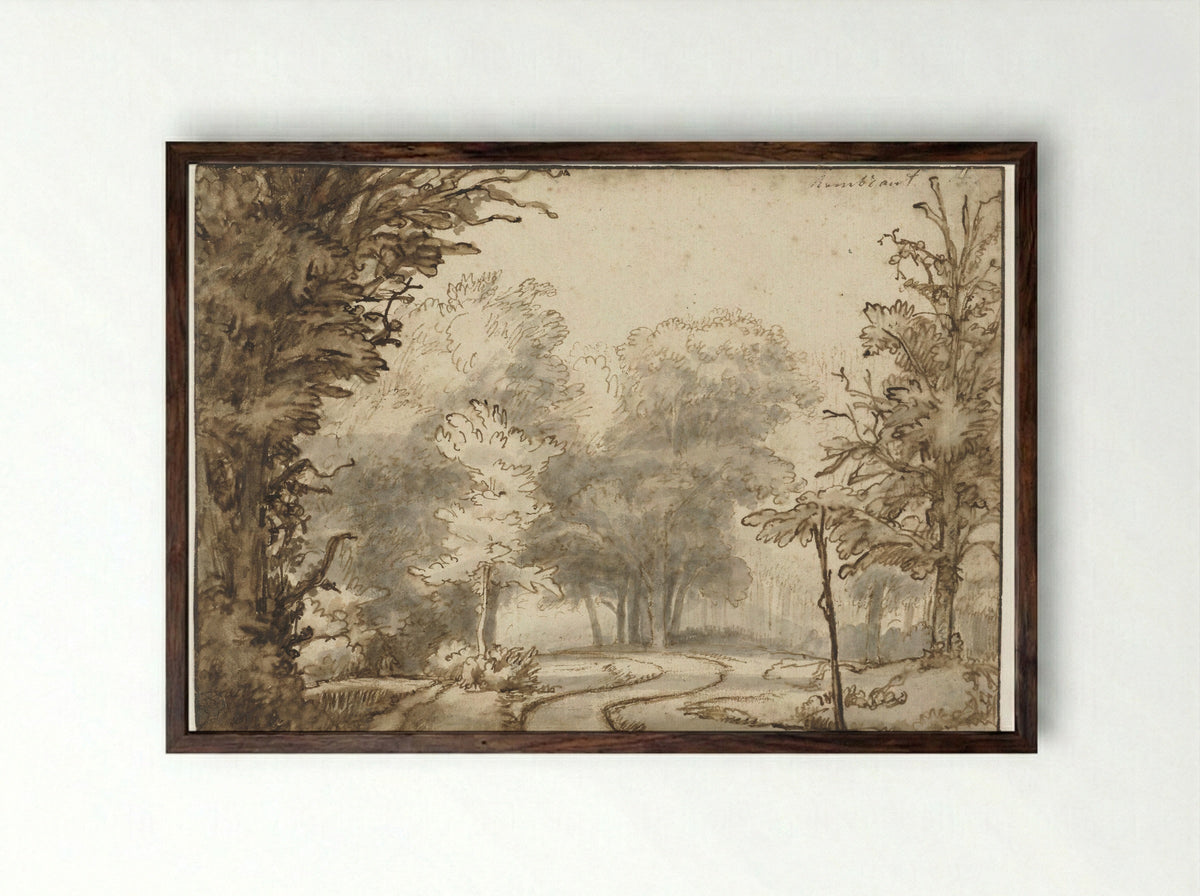 Weg door het bos (Path Through the Woods) - Abraham Furnerius - Framed Print Dark Wood