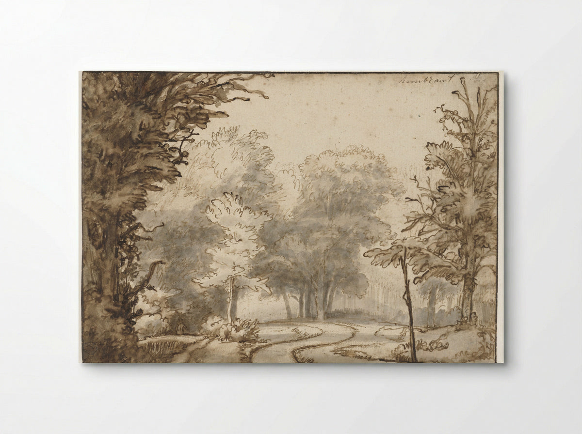 Weg door het bos (Path Through the Woods) - Abraham Furnerius - Poster