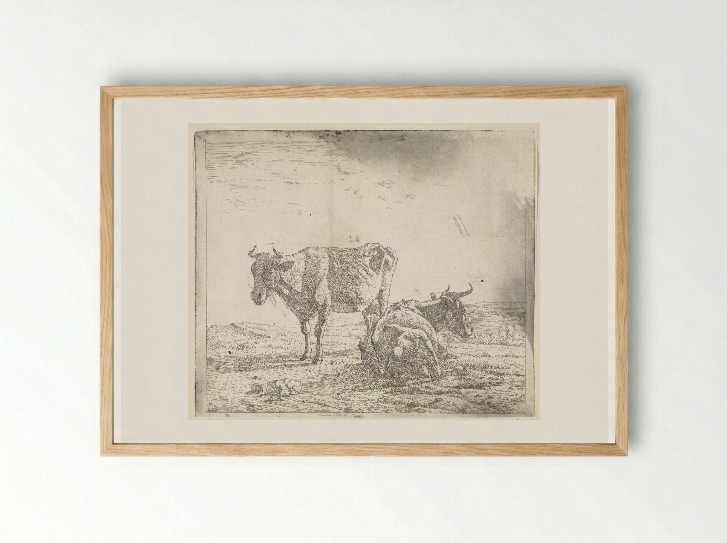 Weiland met een staande en liggende koe - Wouter Johannes van Troostwijk - Framed Print Wood