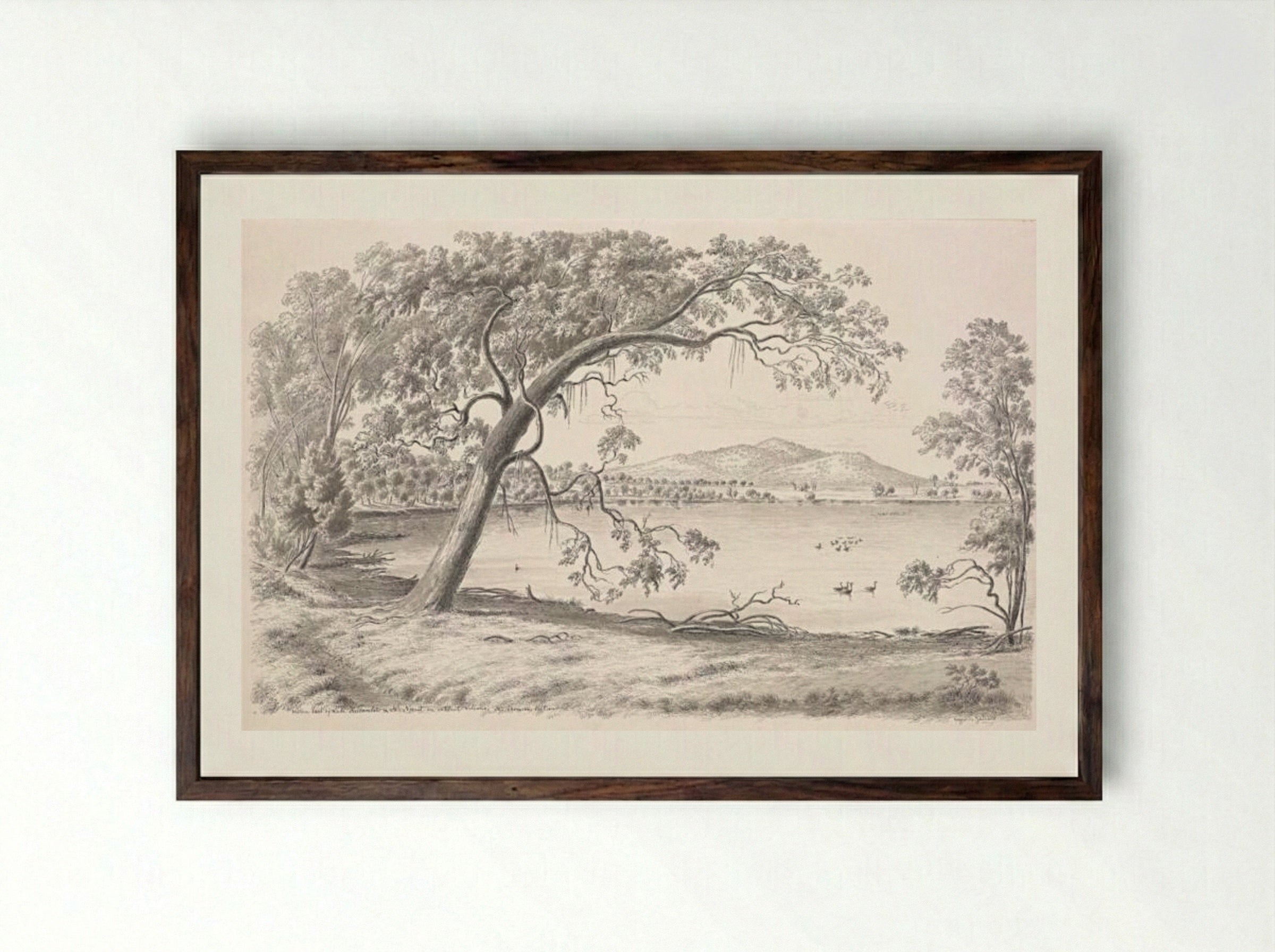 Western part of Lake Keilambete and Mt Noorat, an extinct volcano. Mr Thomson's station - Eugene von Guerard - Framed Print Dark Wood