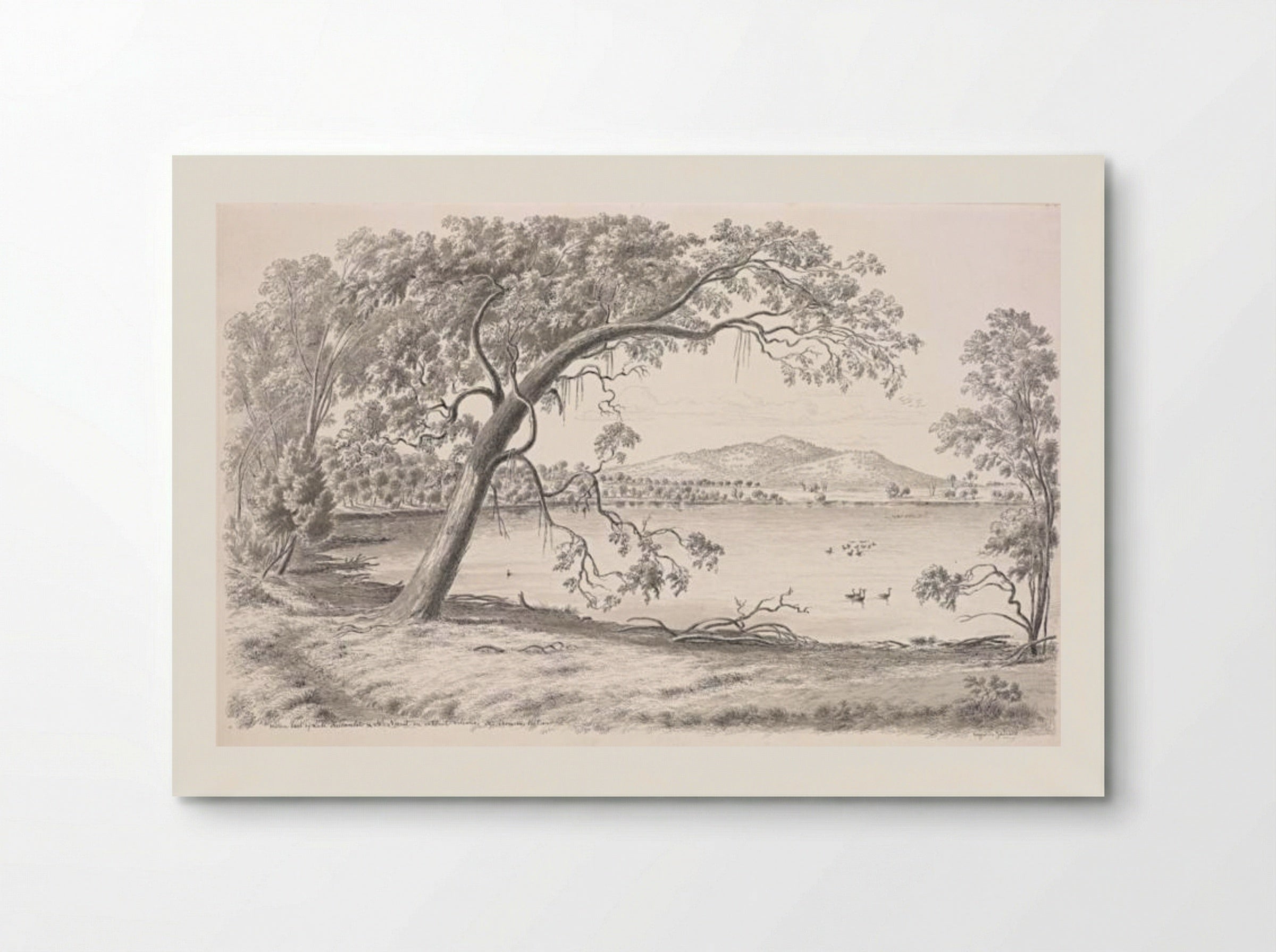 Western part of Lake Keilambete and Mt Noorat, an extinct volcano. Mr Thomson's station - Eugene von Guerard - Poster