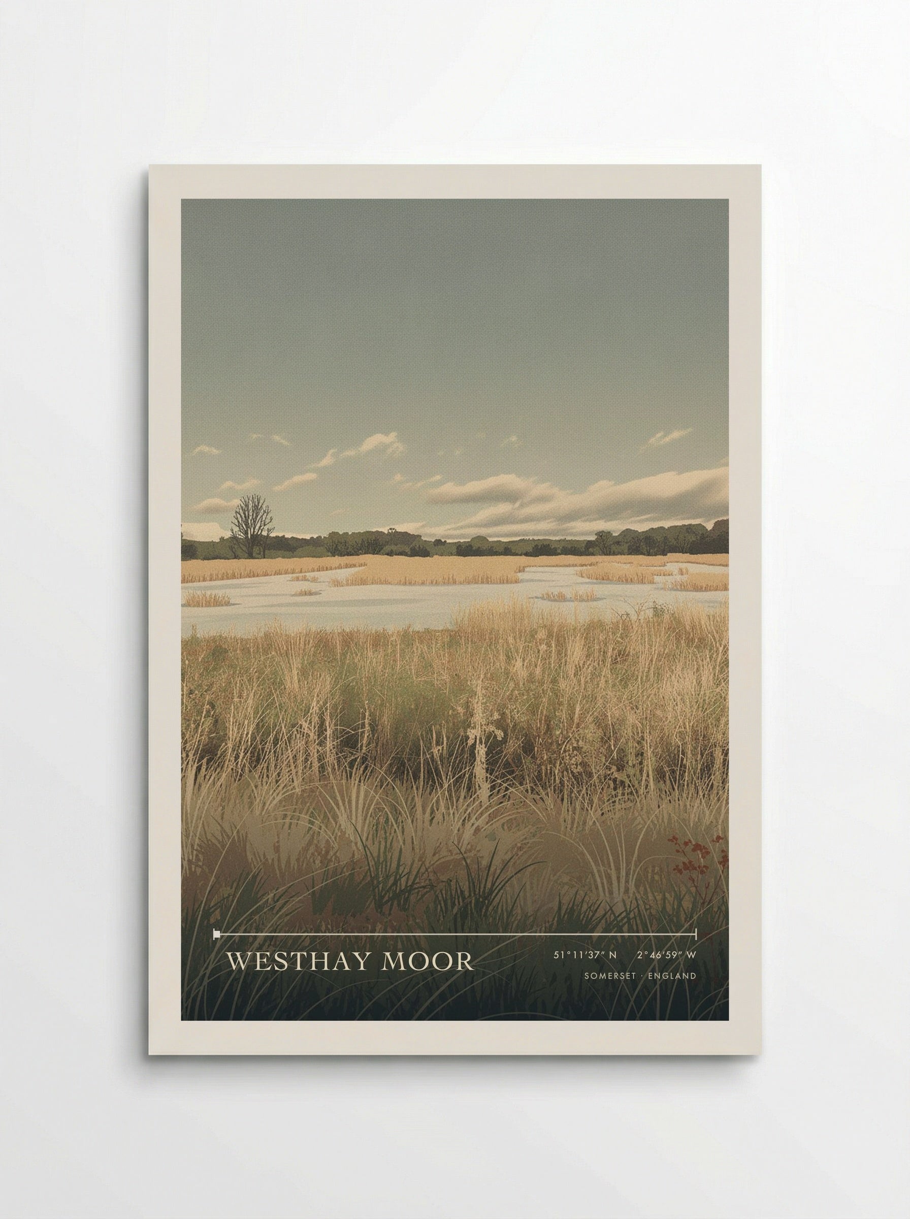 Westhay Moor Somerset England Travel Poster - Poster