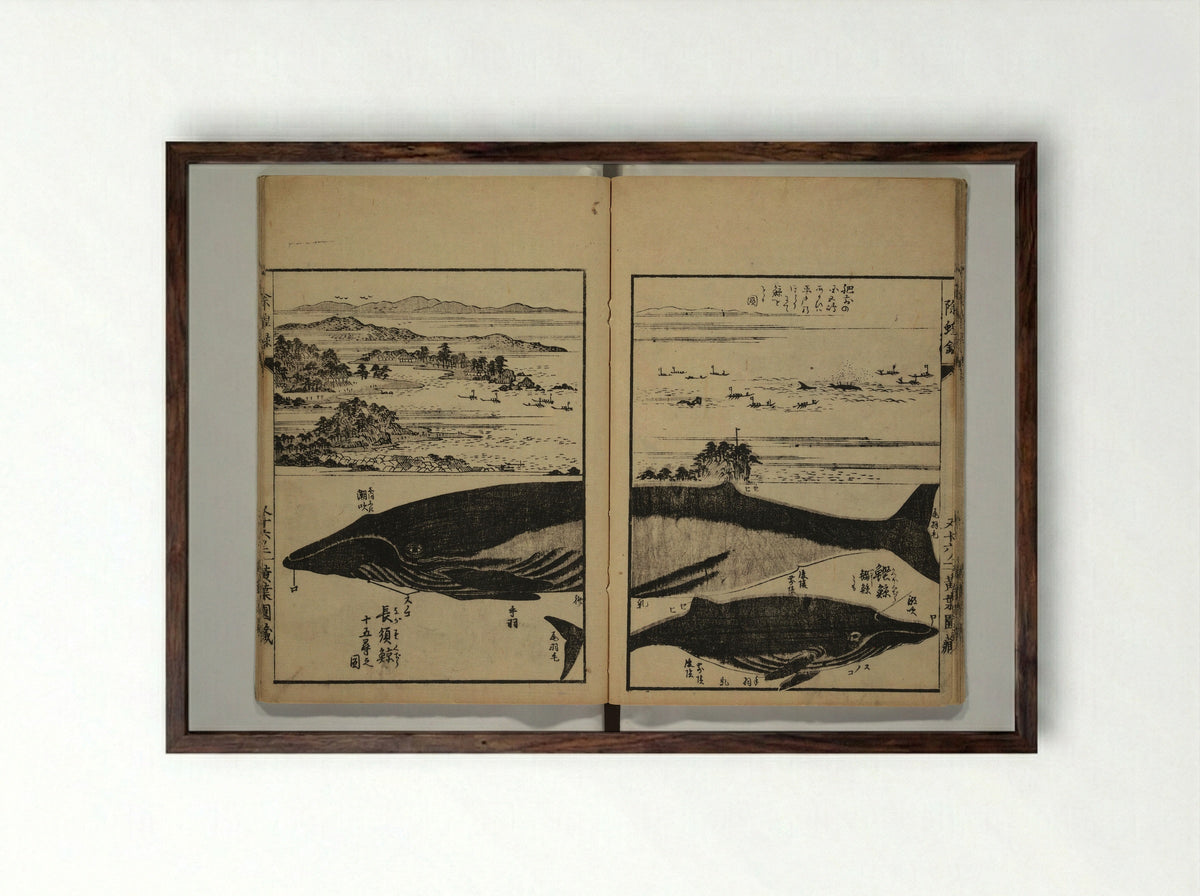 Whales and Whale Oil (Jokō roku) - Hasegawa Settan - Framed Print Dark Wood