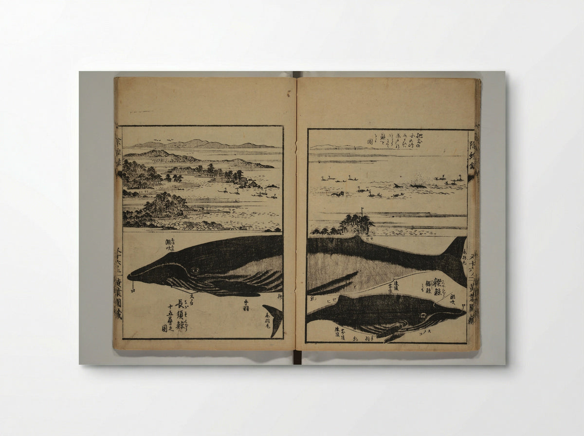Whales and Whale Oil (Jokō roku) - Hasegawa Settan - Poster