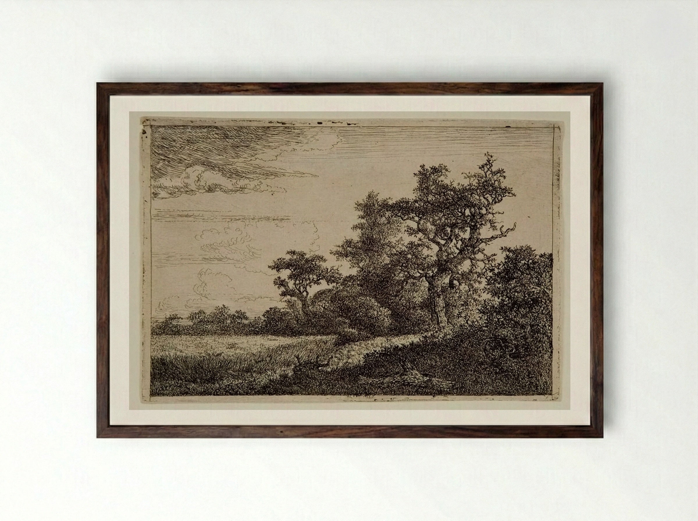 Wheatfield - Jacob van Ruisdael - Framed Print Dark Wood