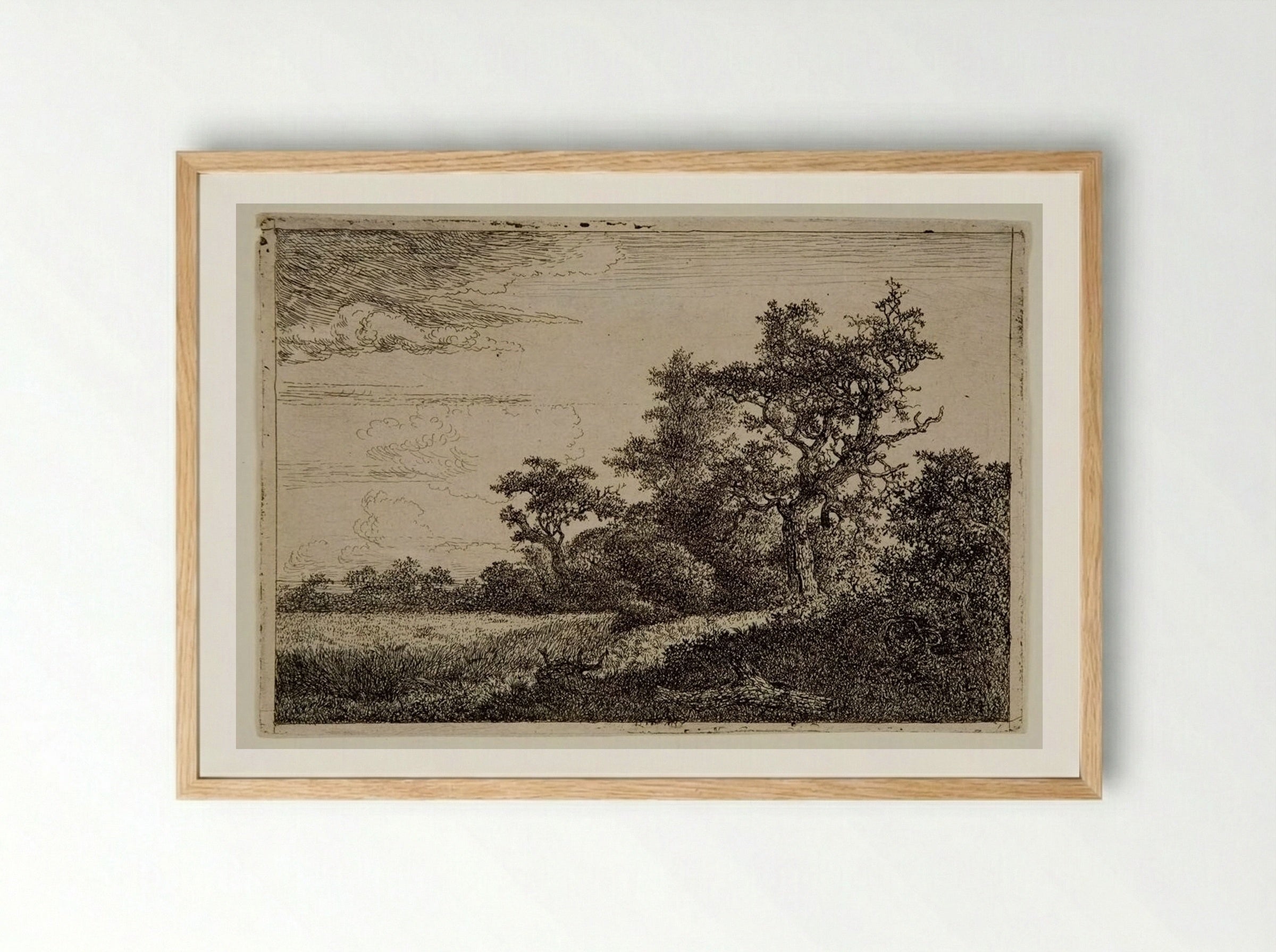 Wheatfield - Jacob van Ruisdael - Framed Print Wood
