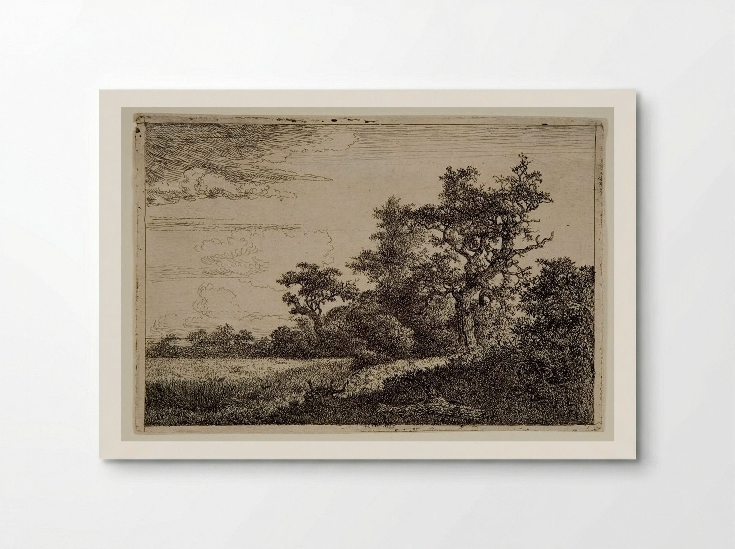 Wheatfield - Jacob van Ruisdael - Poster
