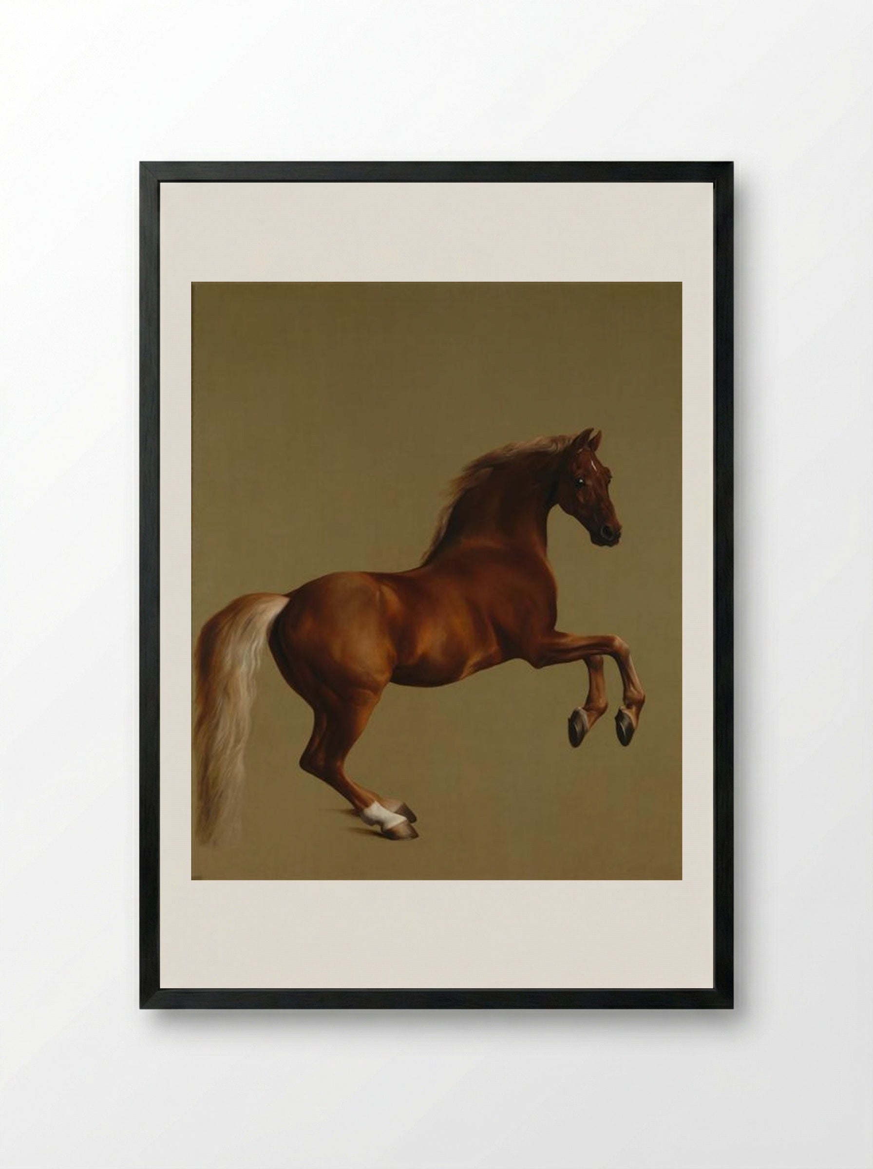Whistlejacket - George Stubbs - Framed Print Black