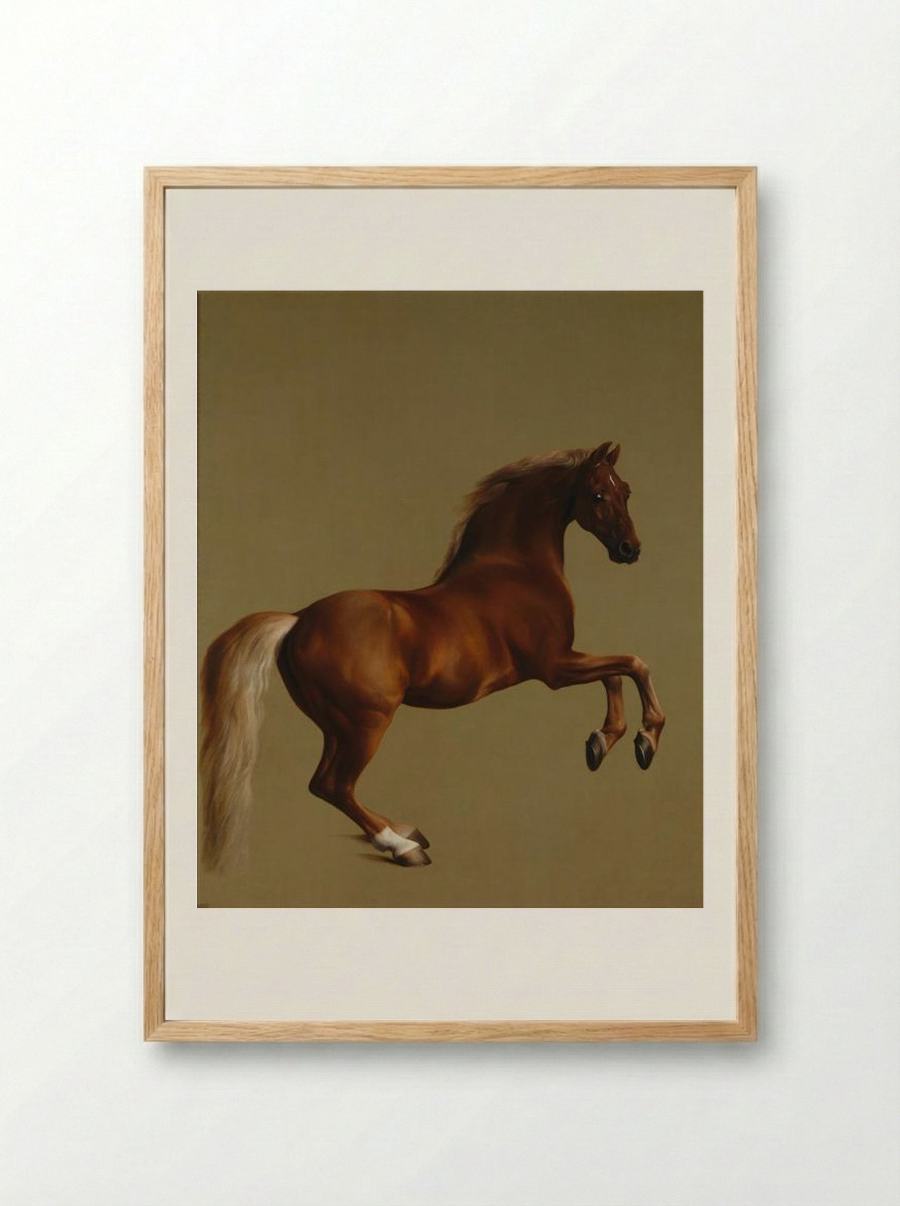 Whistlejacket - George Stubbs - Framed Print Wood