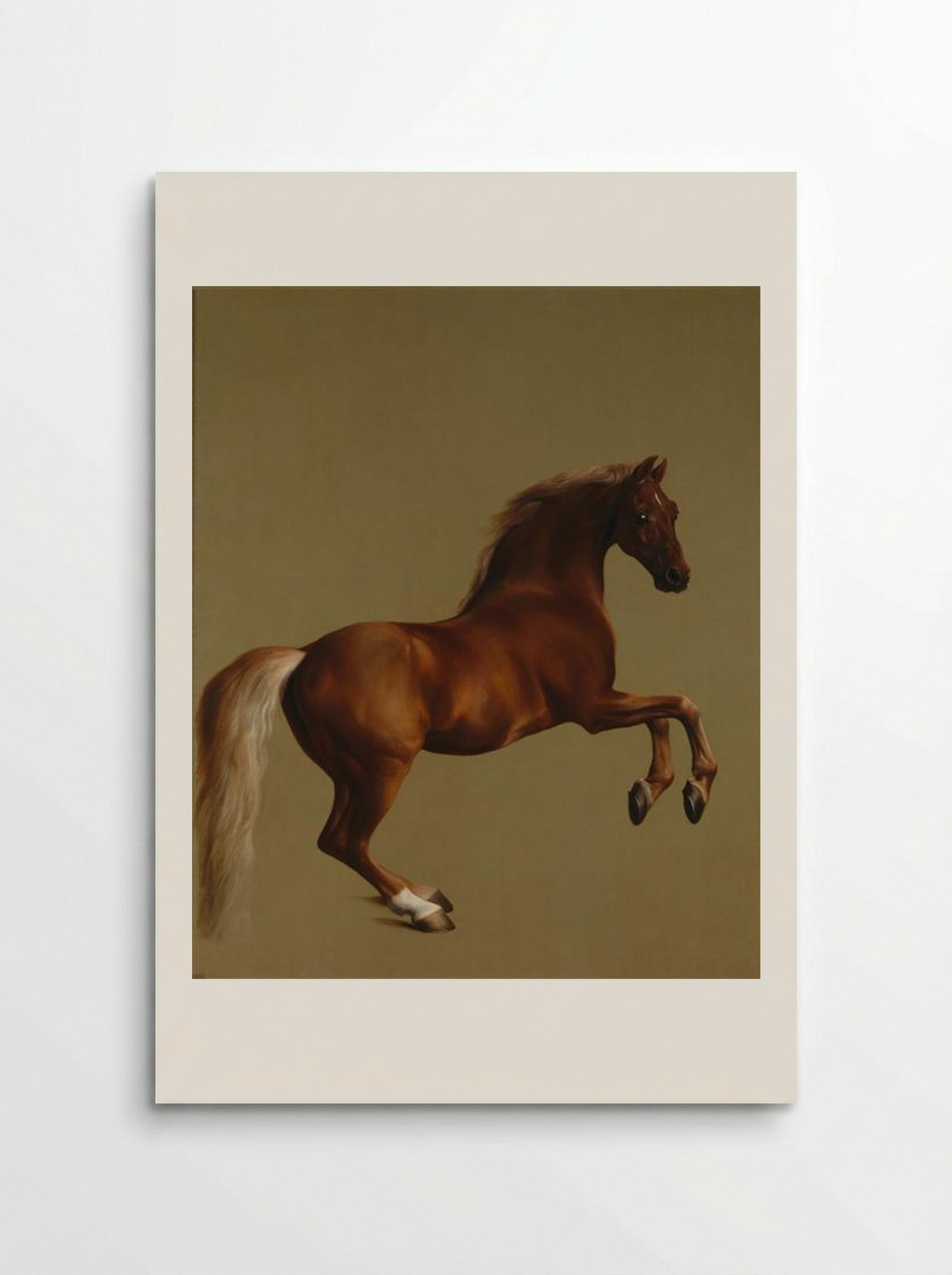 Whistlejacket - George Stubbs - Poster