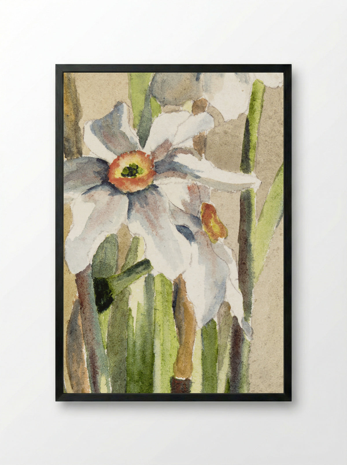 White Narcissus with Gray Accents (1915) - Hannah Borger Overbeck - Framed Print Black