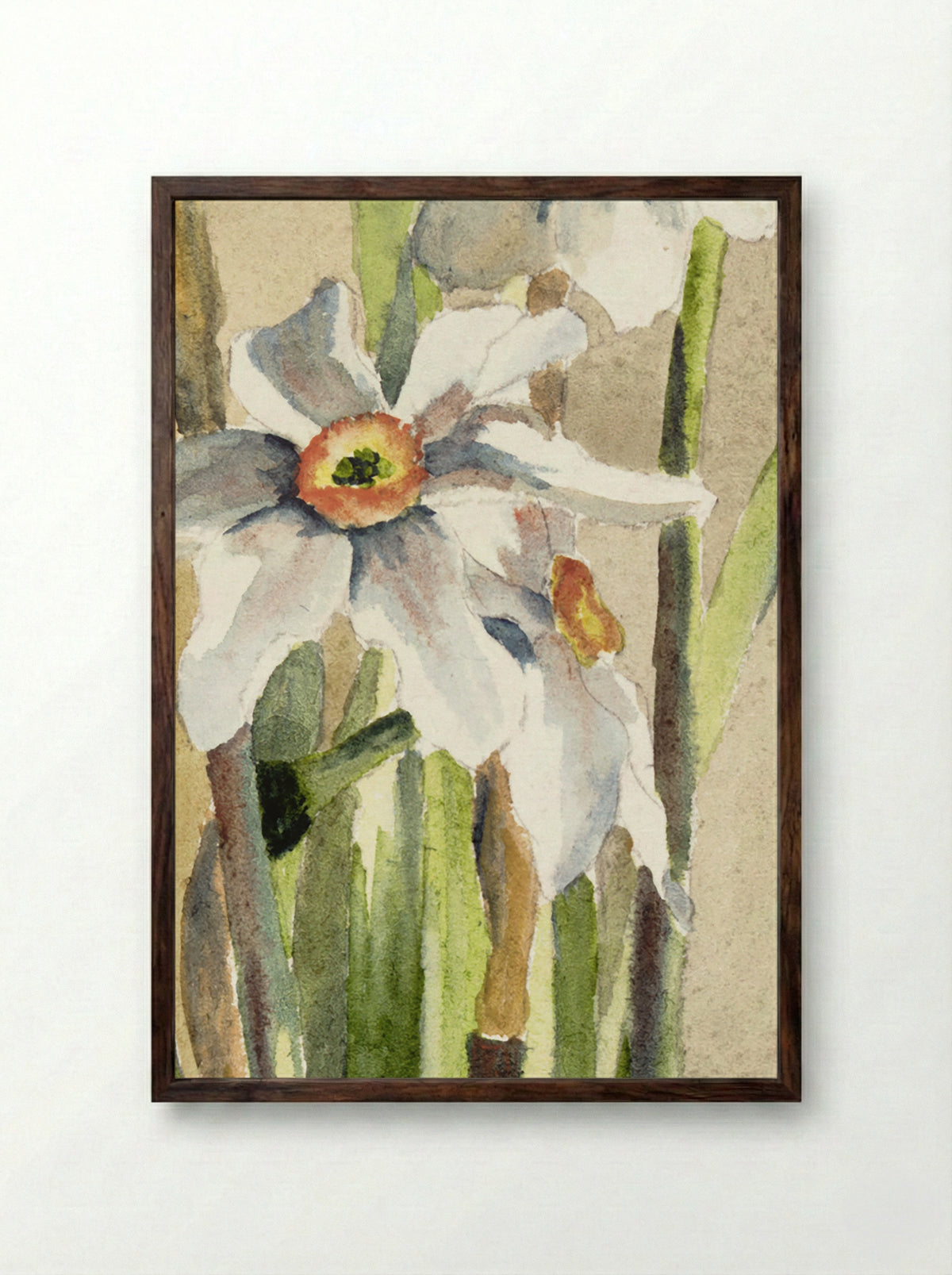 White Narcissus with Gray Accents (1915) - Hannah Borger Overbeck - Framed Print Dark Wood