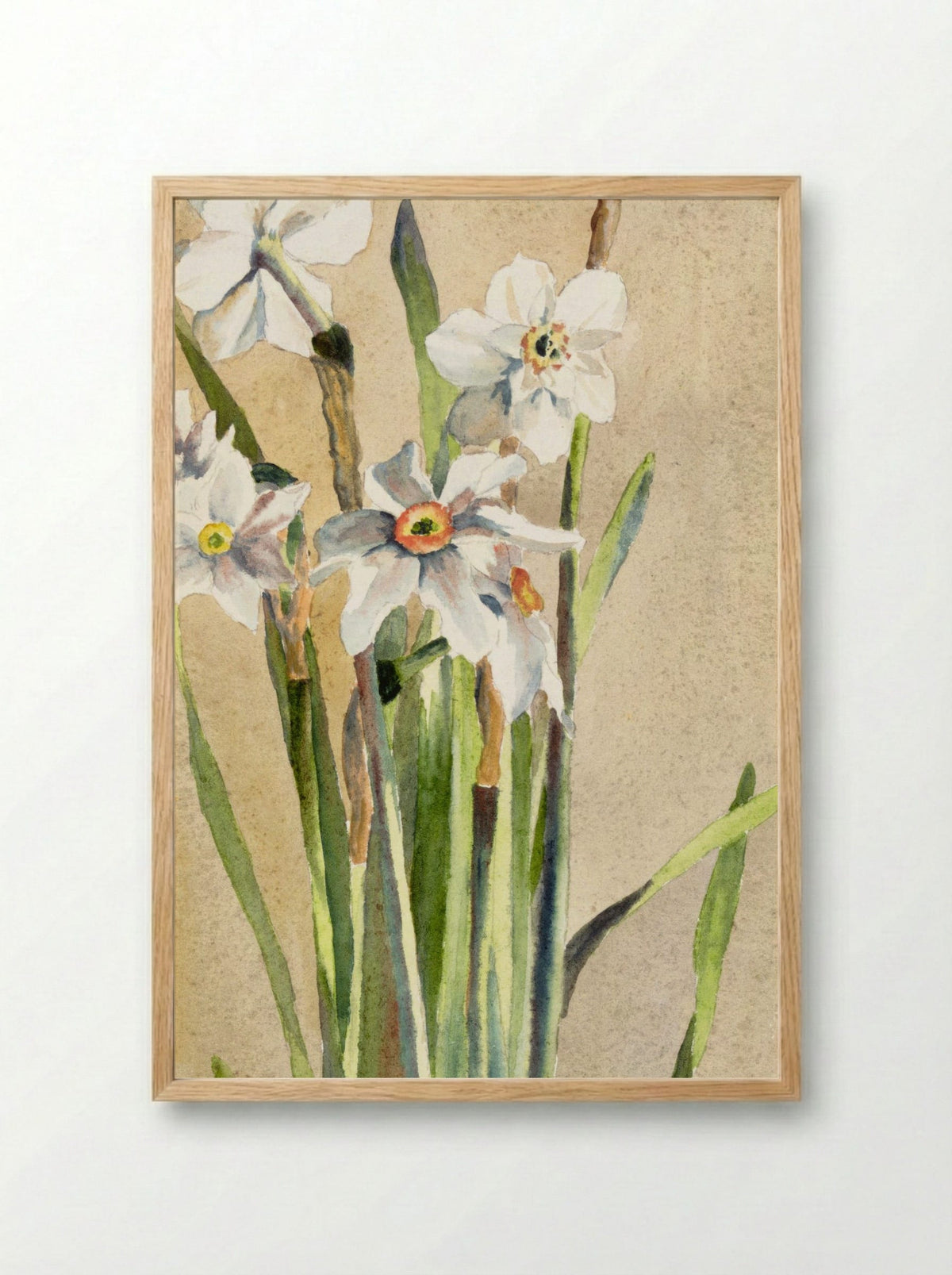 White Narcissus with Gray Accents (1915) - Hannah Borger Overbeck - Framed Print Wood